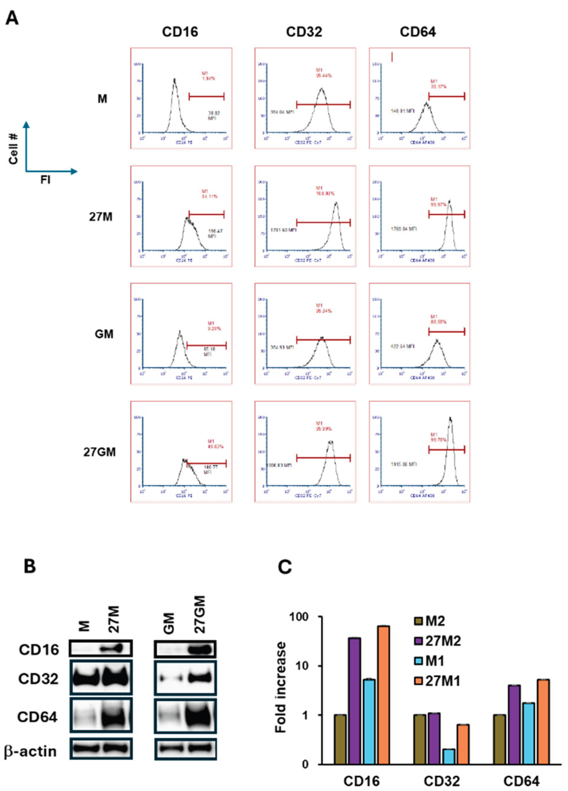 Preprints 194303 g011