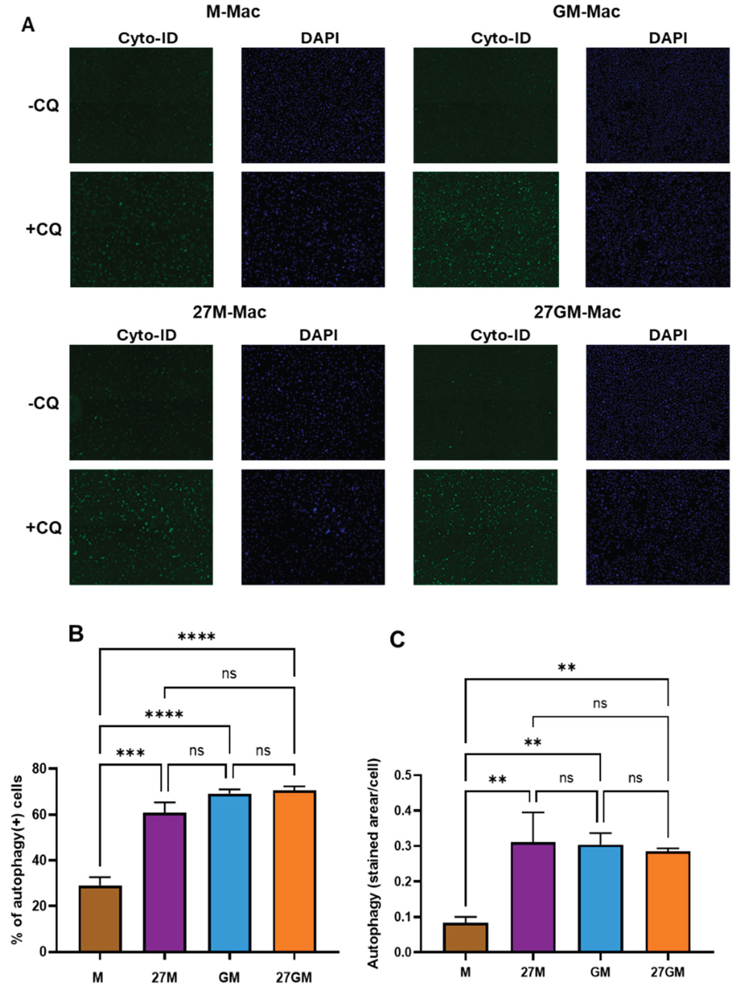 Preprints 194303 g013