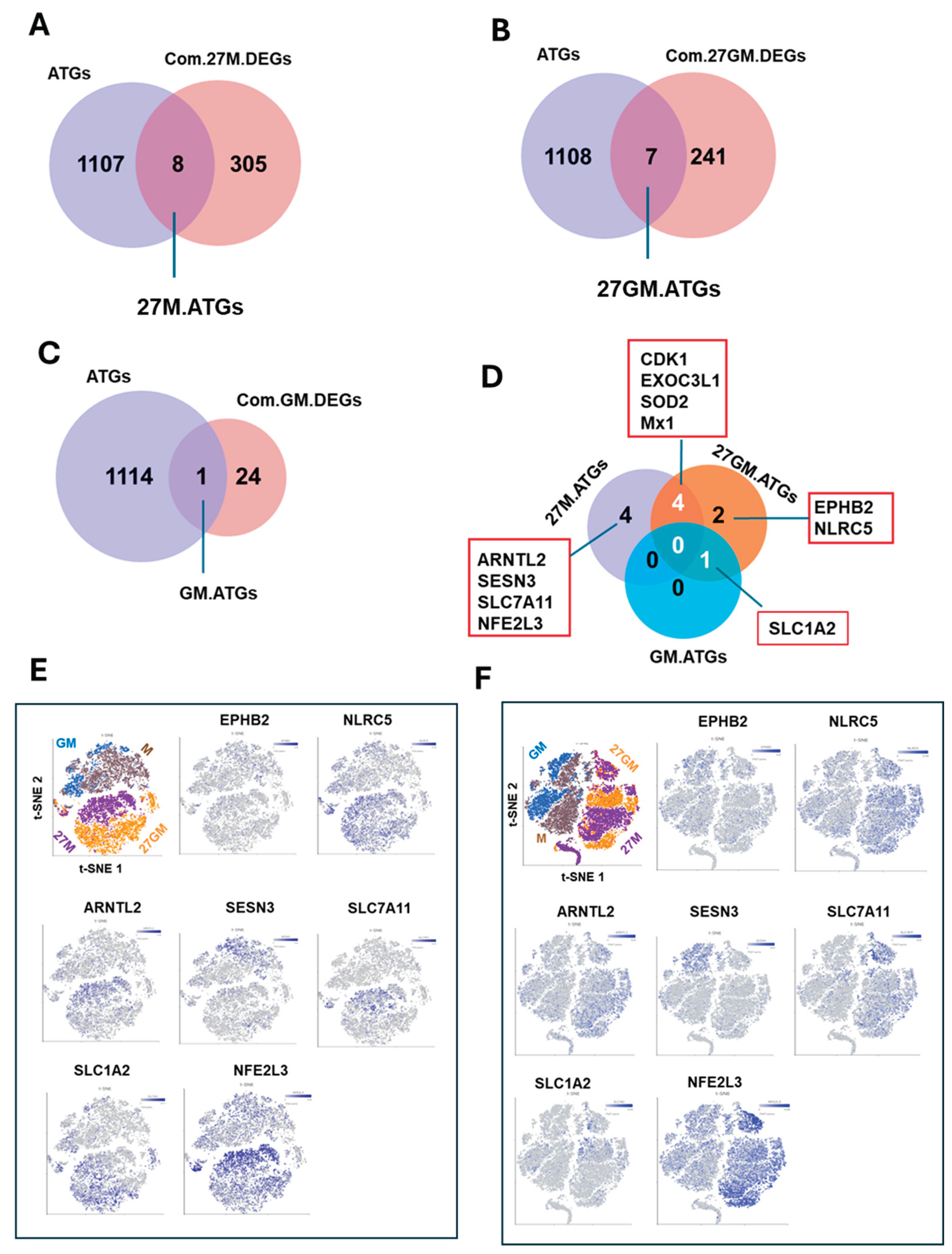 Preprints 194303 g014