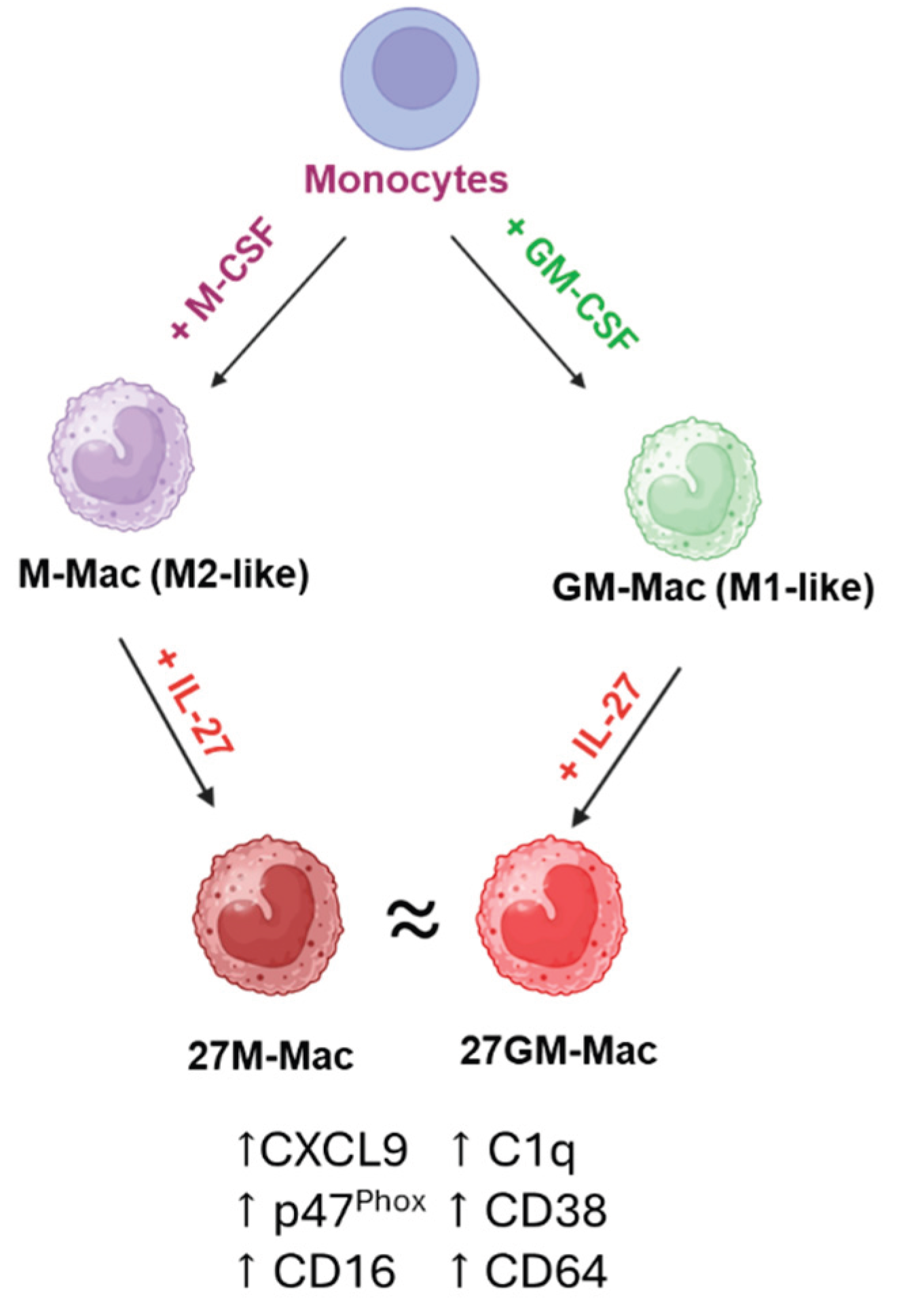 Preprints 194303 g015