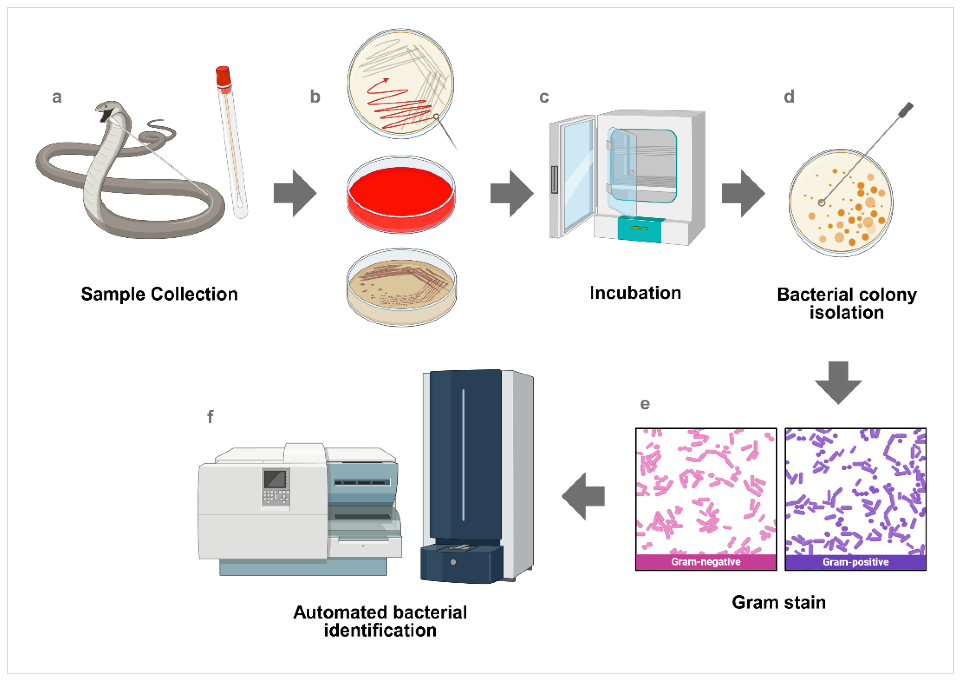 Preprints 174031 g001
