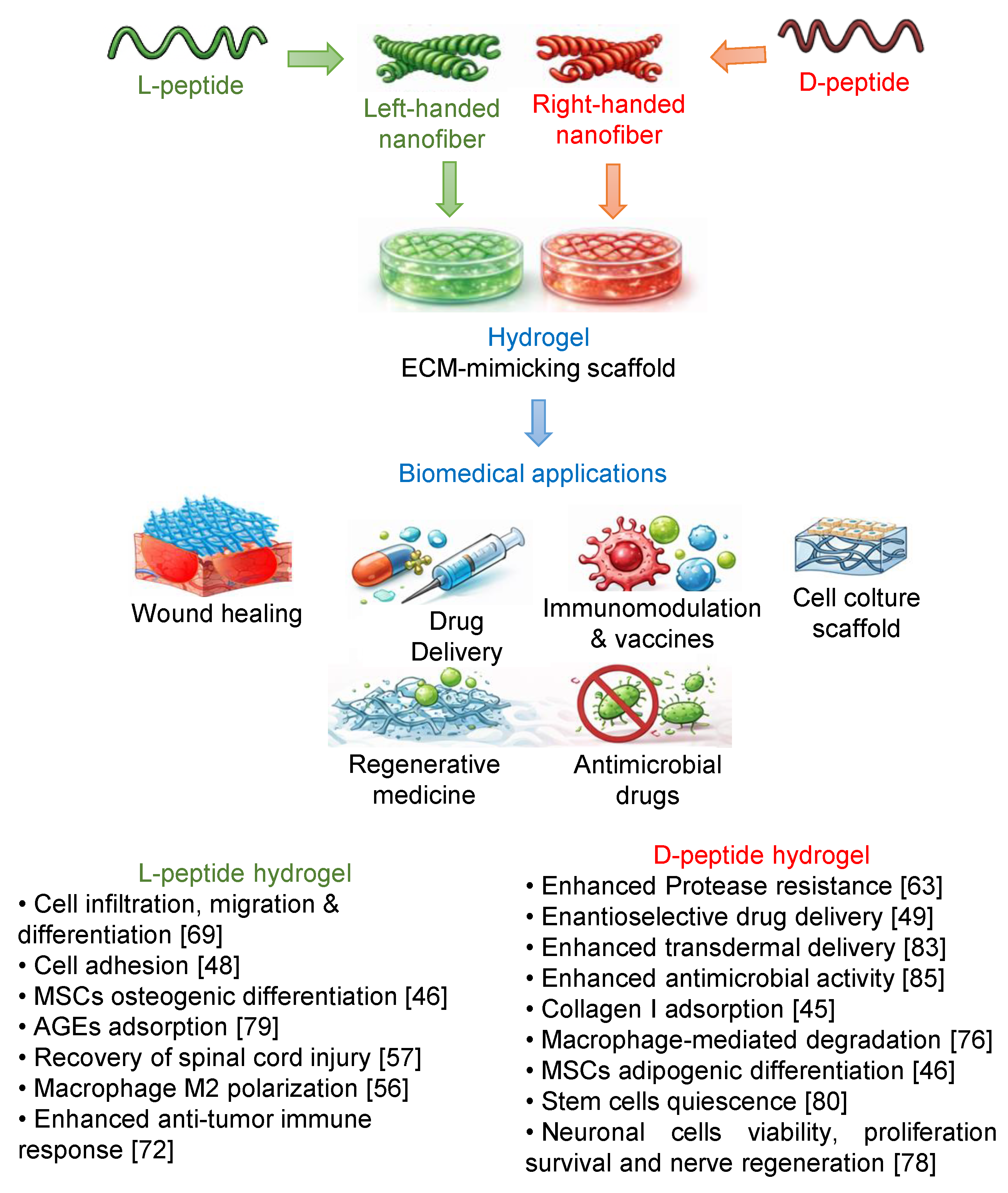 Preprints 205256 g007 Preprints 205256 g007