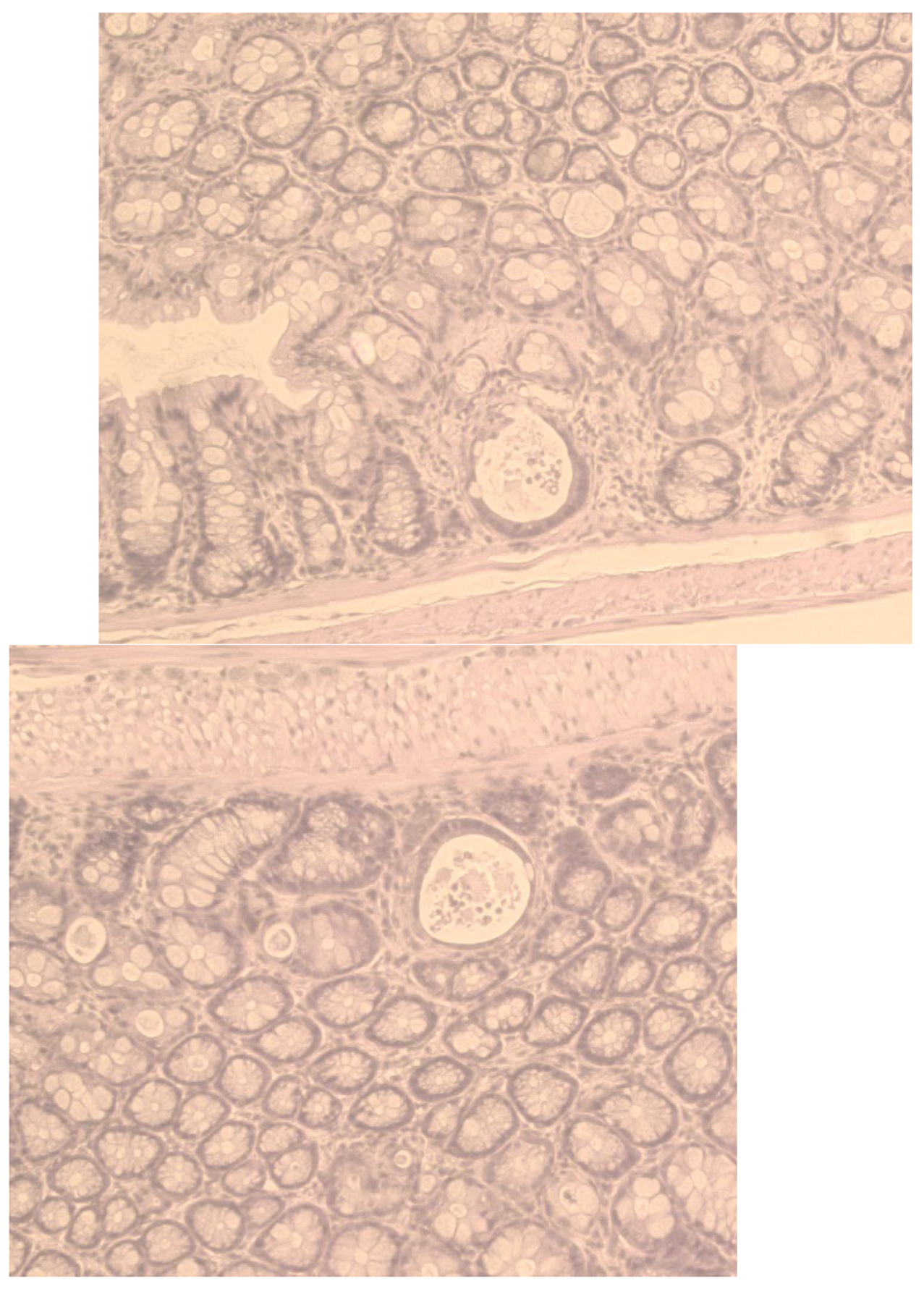 Preprints 143531 g001