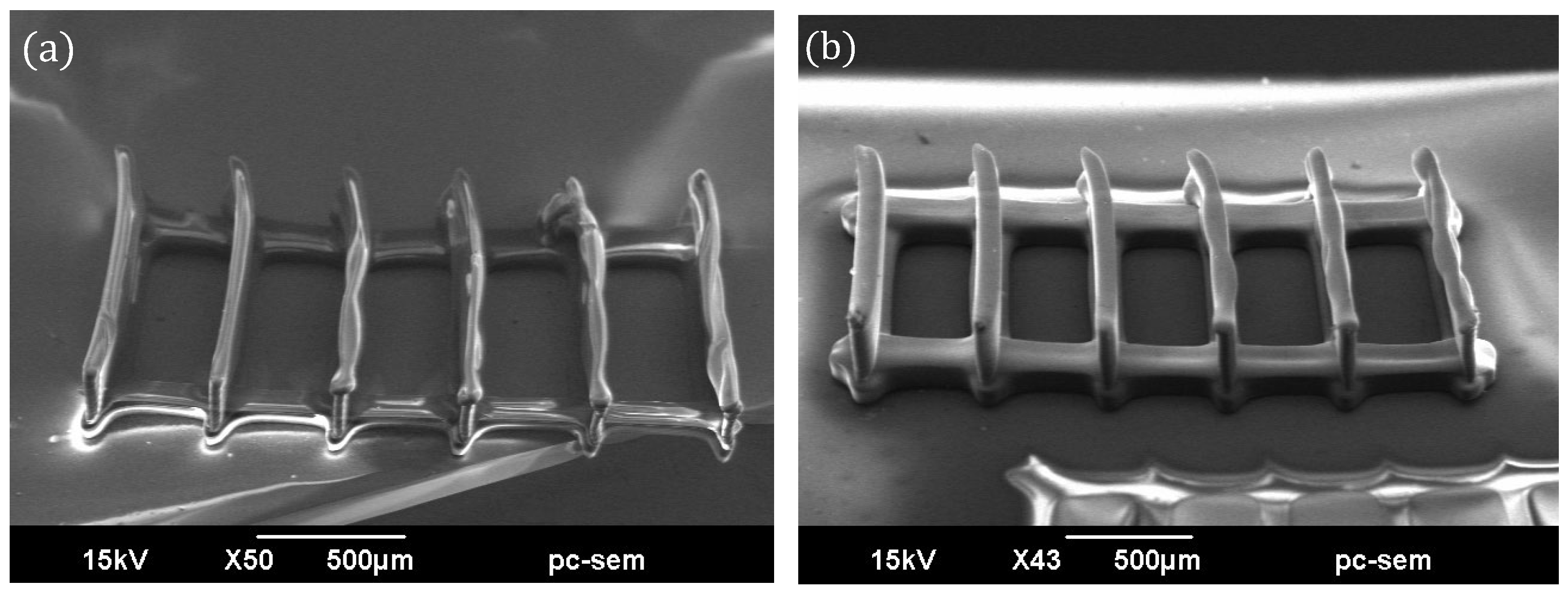 Preprints 164524 g005