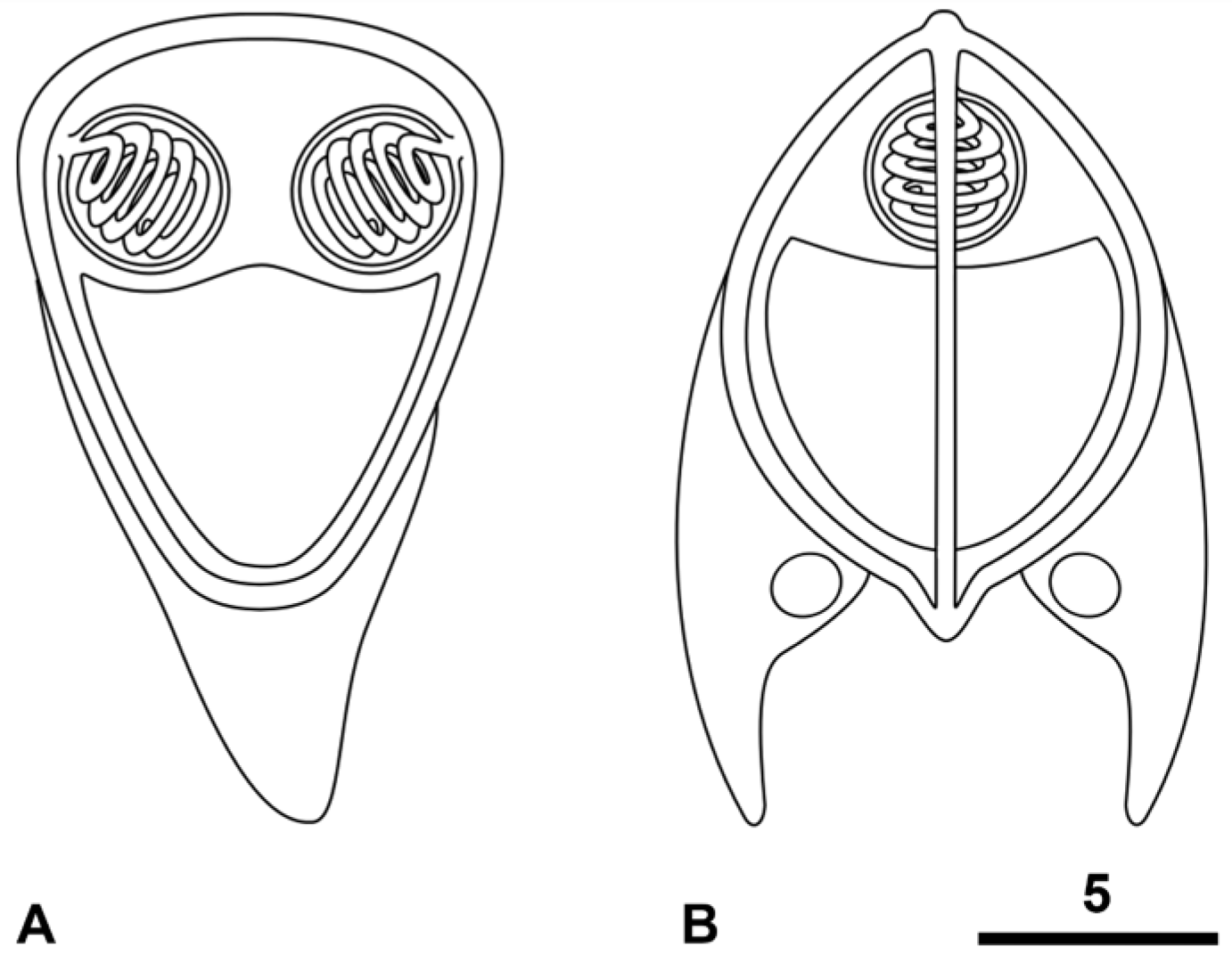 Preprints 162980 g002