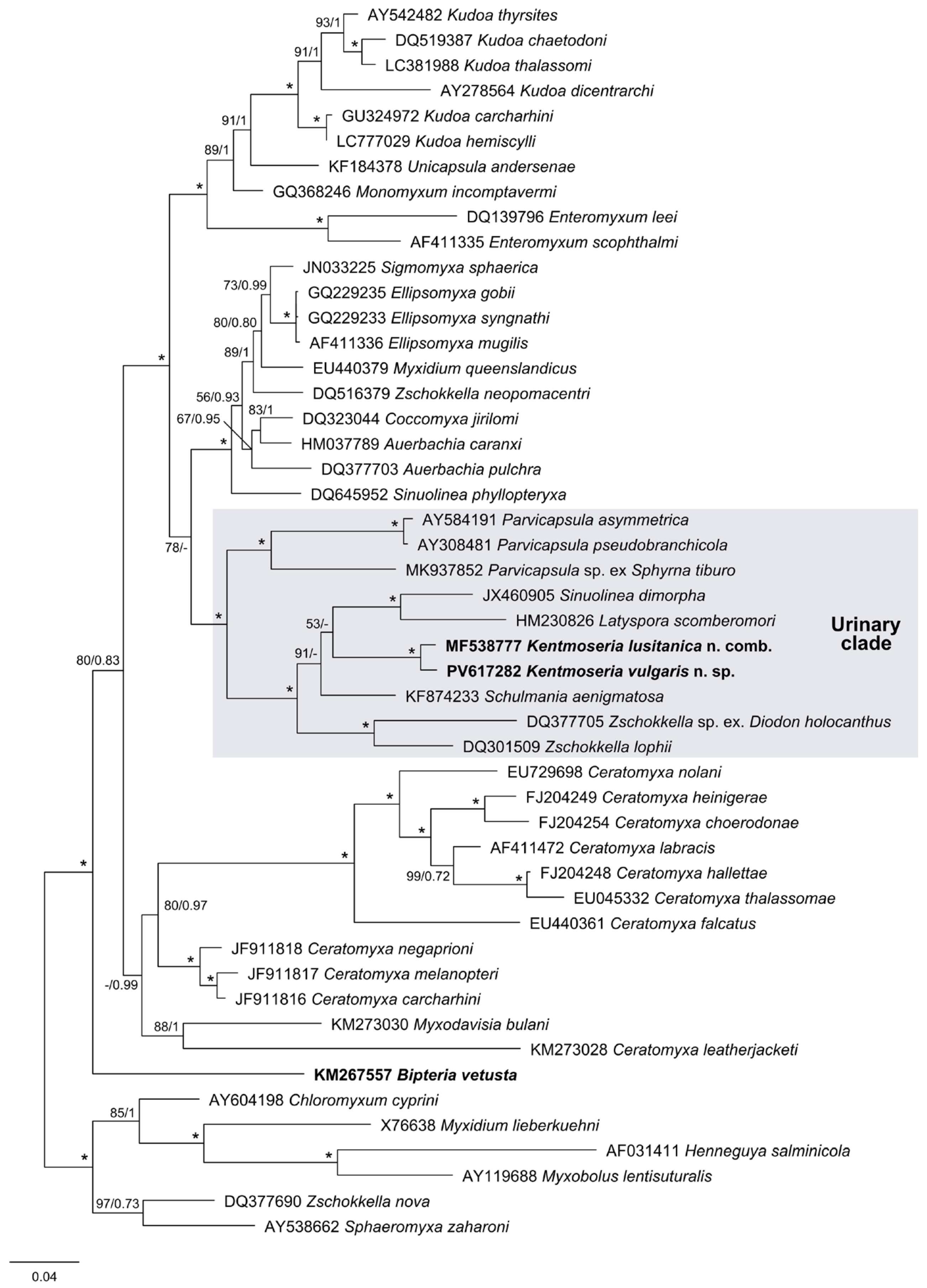 Preprints 162980 g004