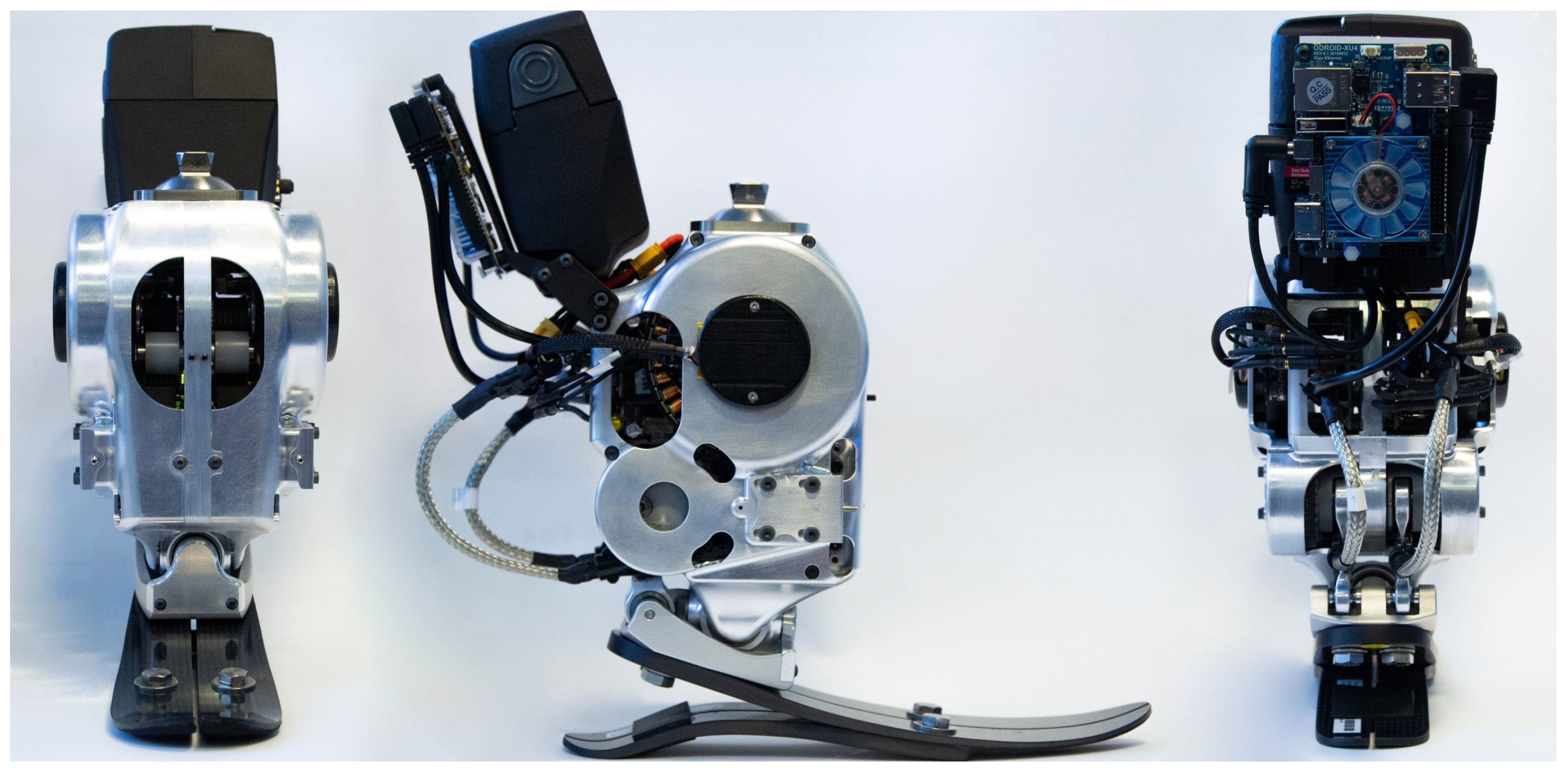 Preprints 97060 g001