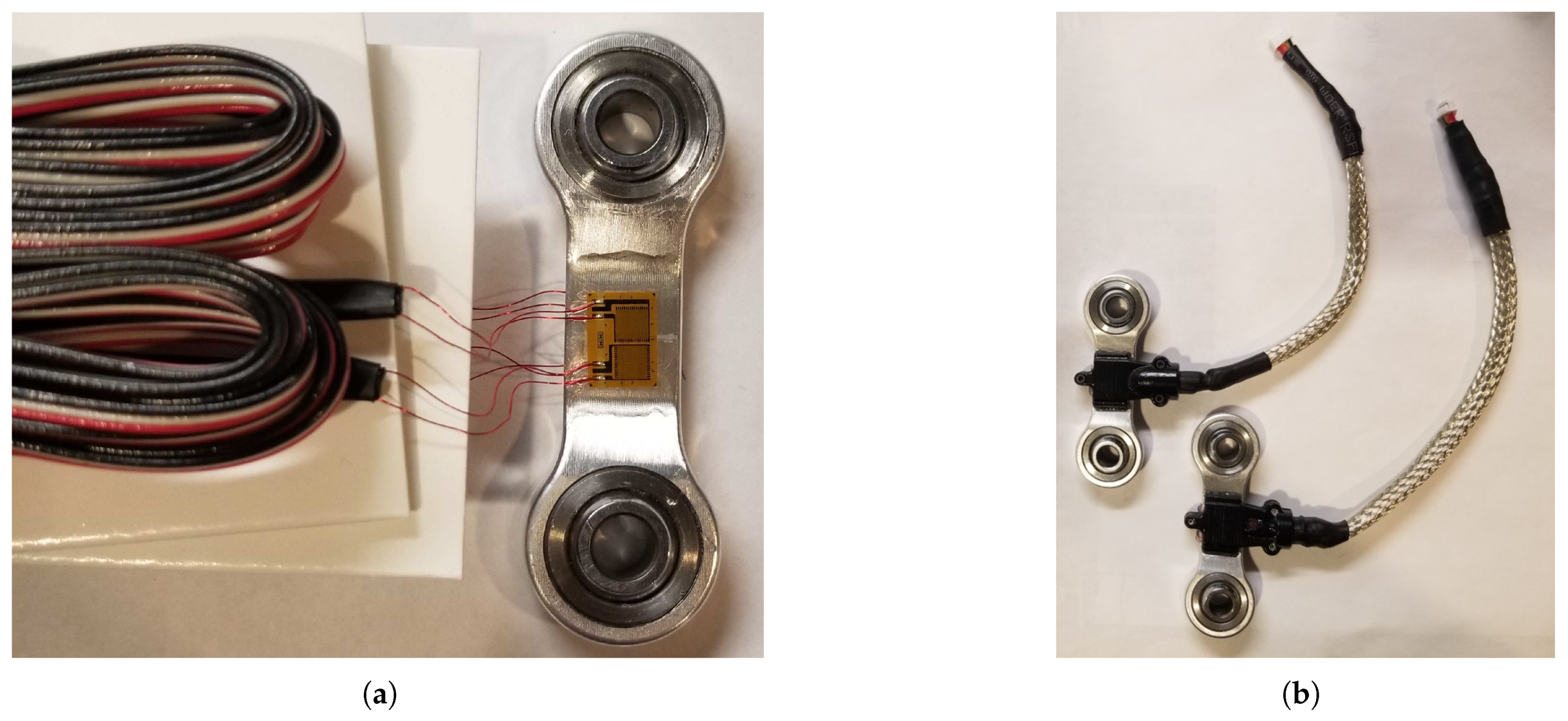 Preprints 97060 g005