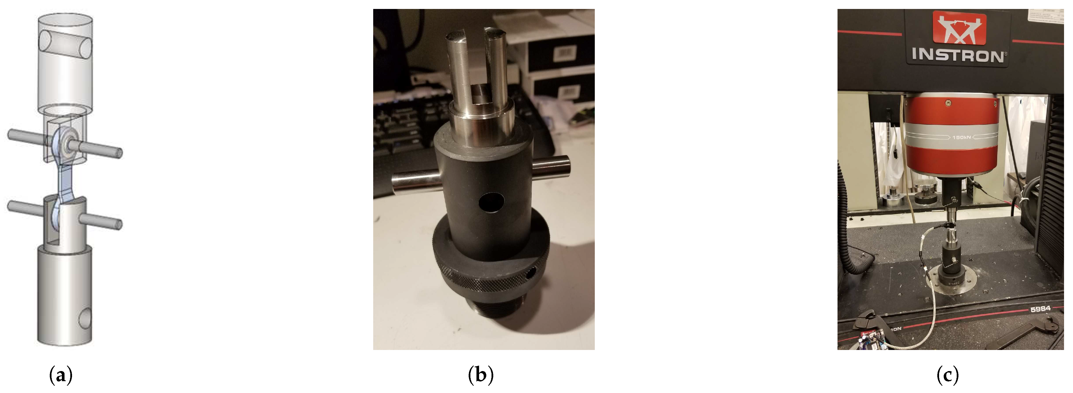 Preprints 97060 g006