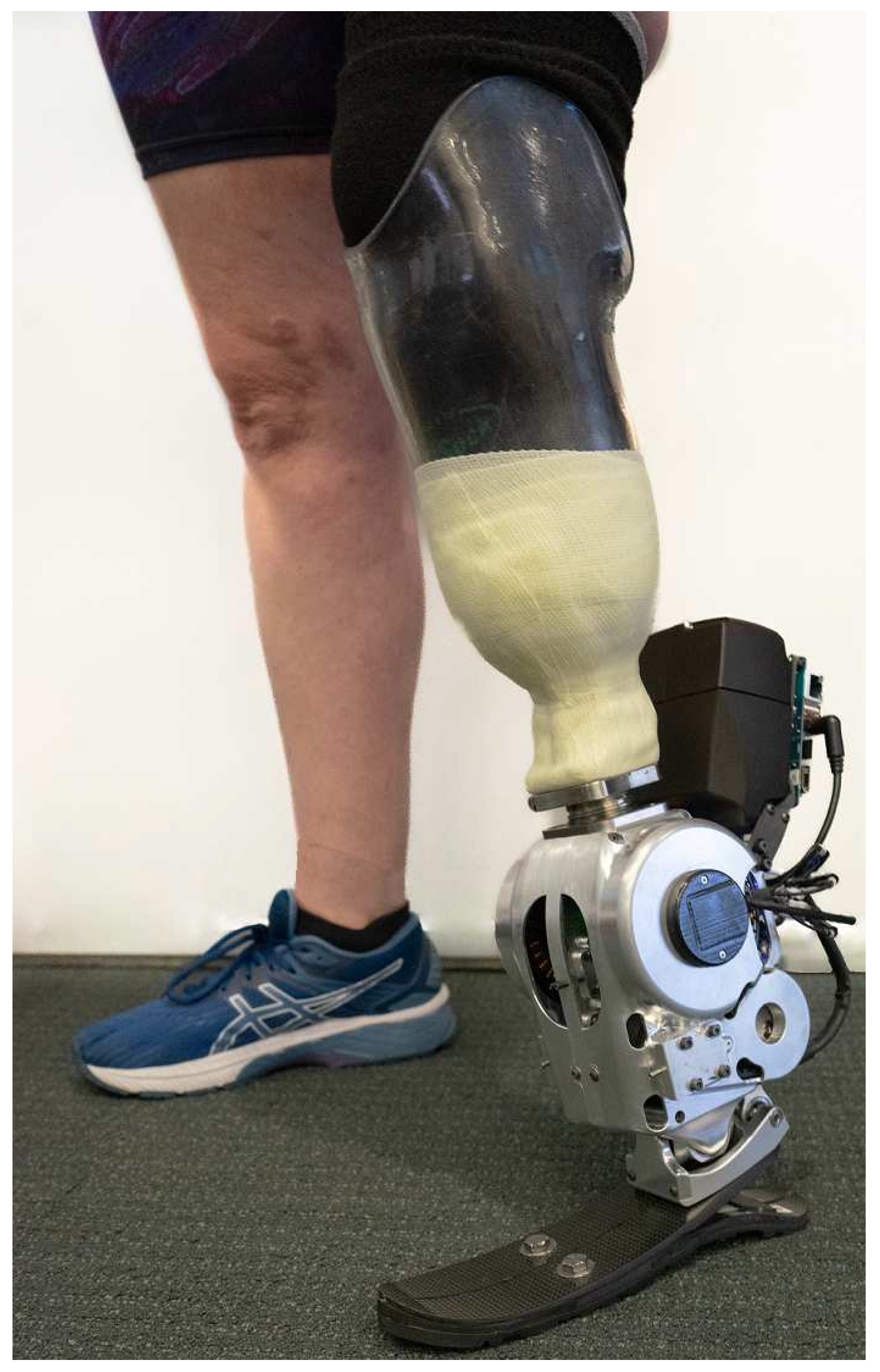 Preprints 97060 g013