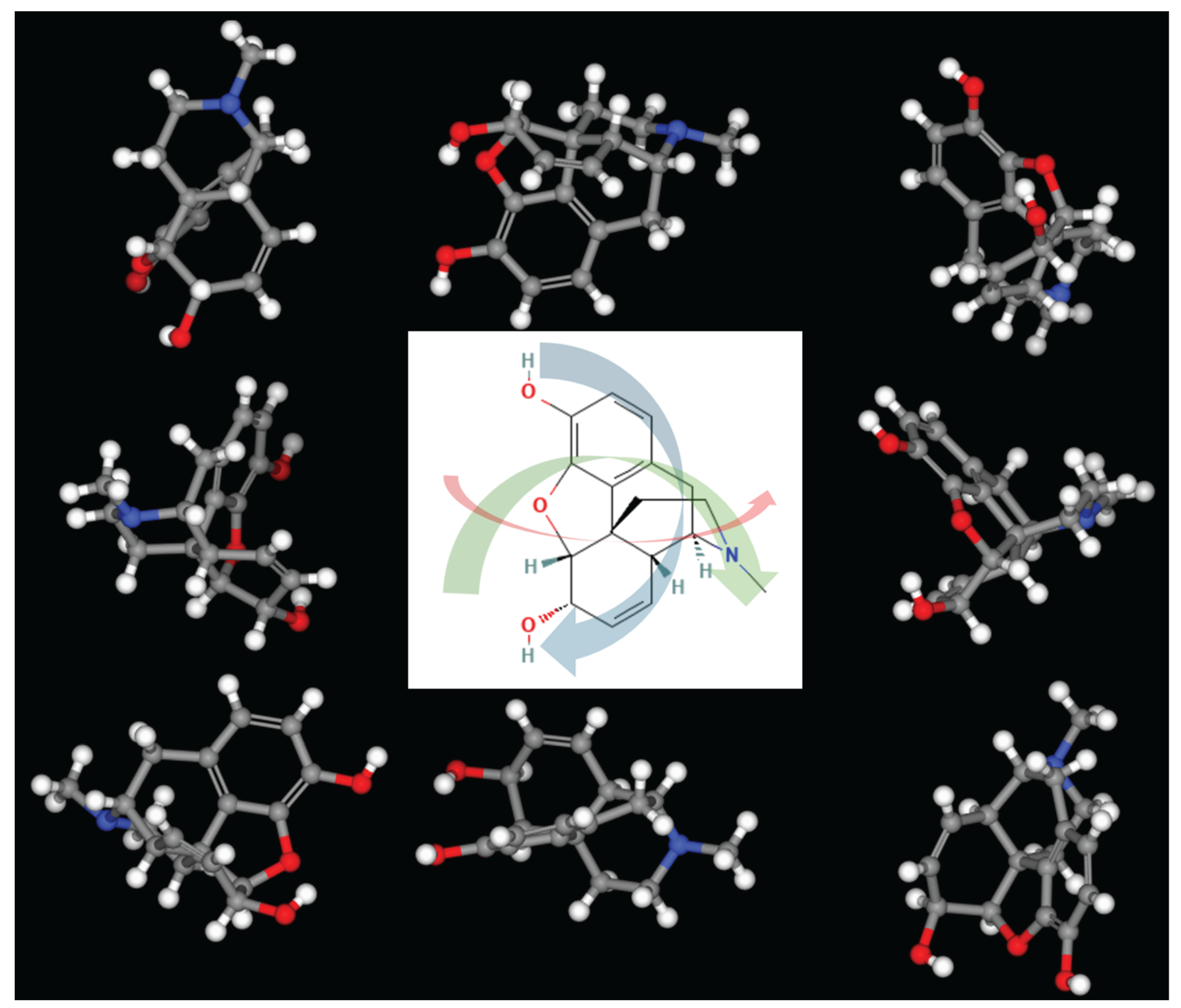 Preprints 211038 g001