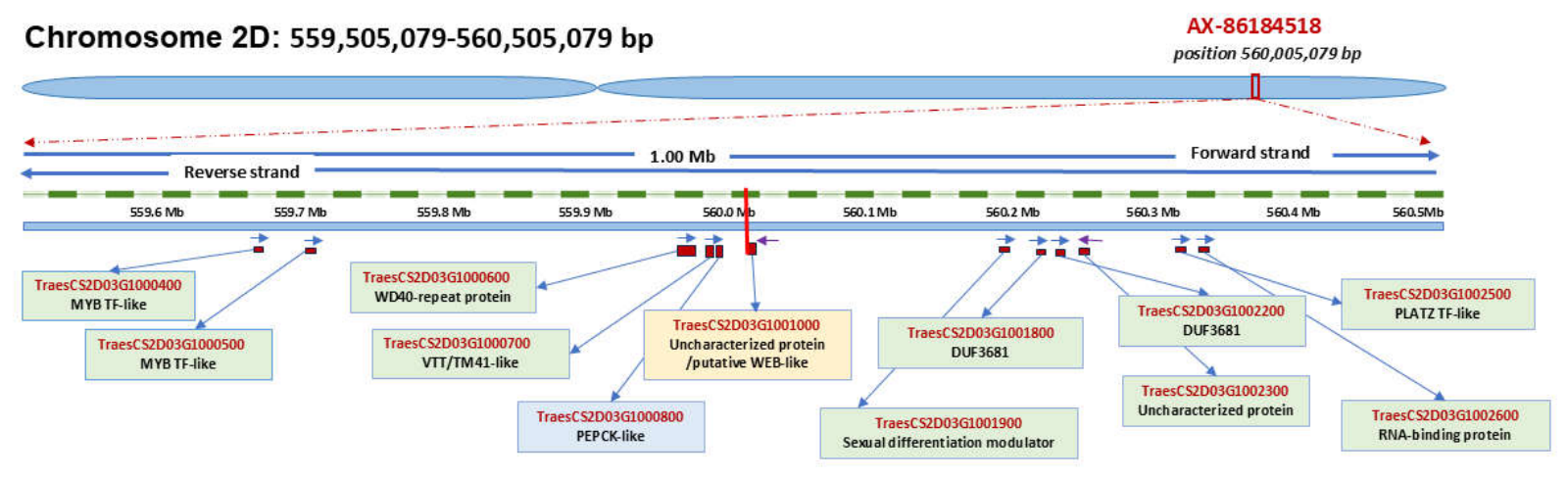 Preprints 223200 g003