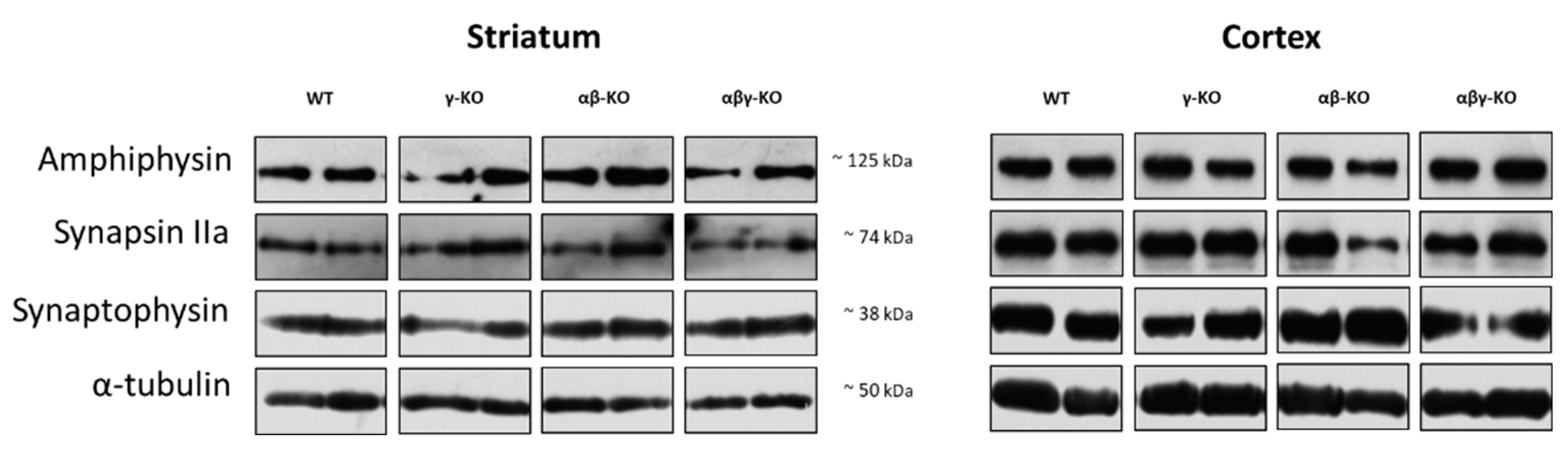 Preprints 188064 g009