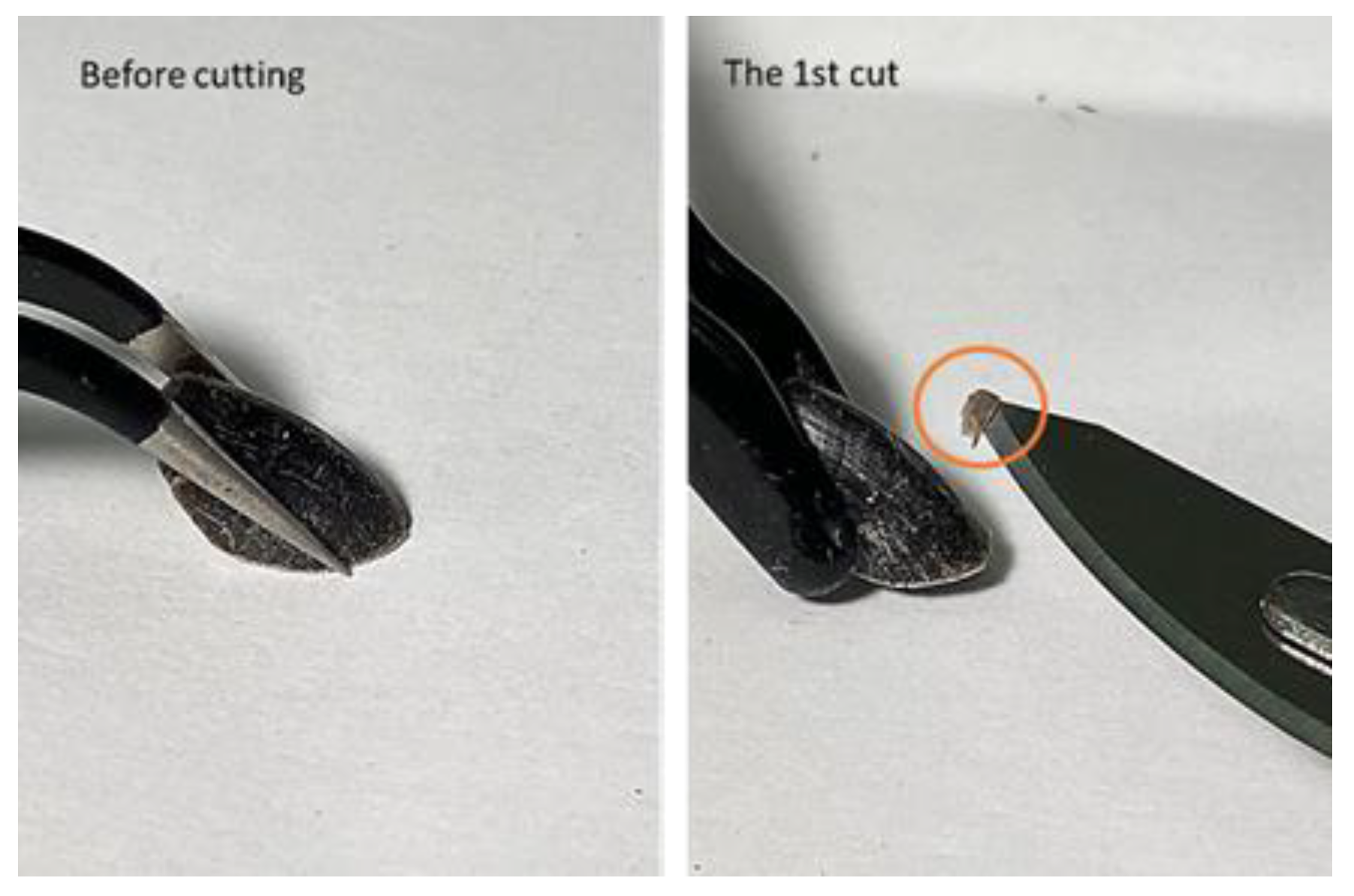 Preprints 144763 g001