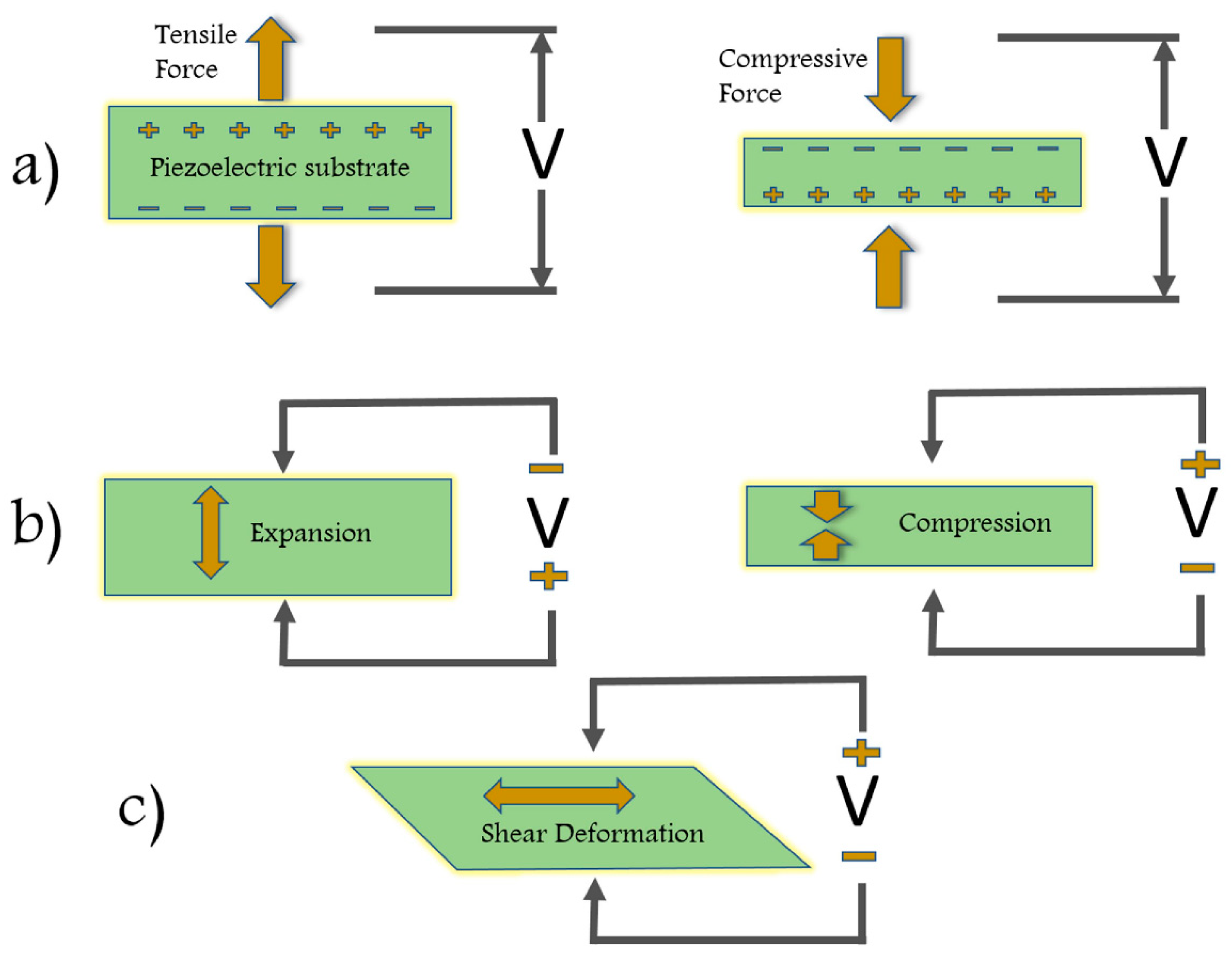Preprints 144863 g005