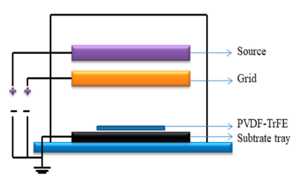 Preprints 144863 g021