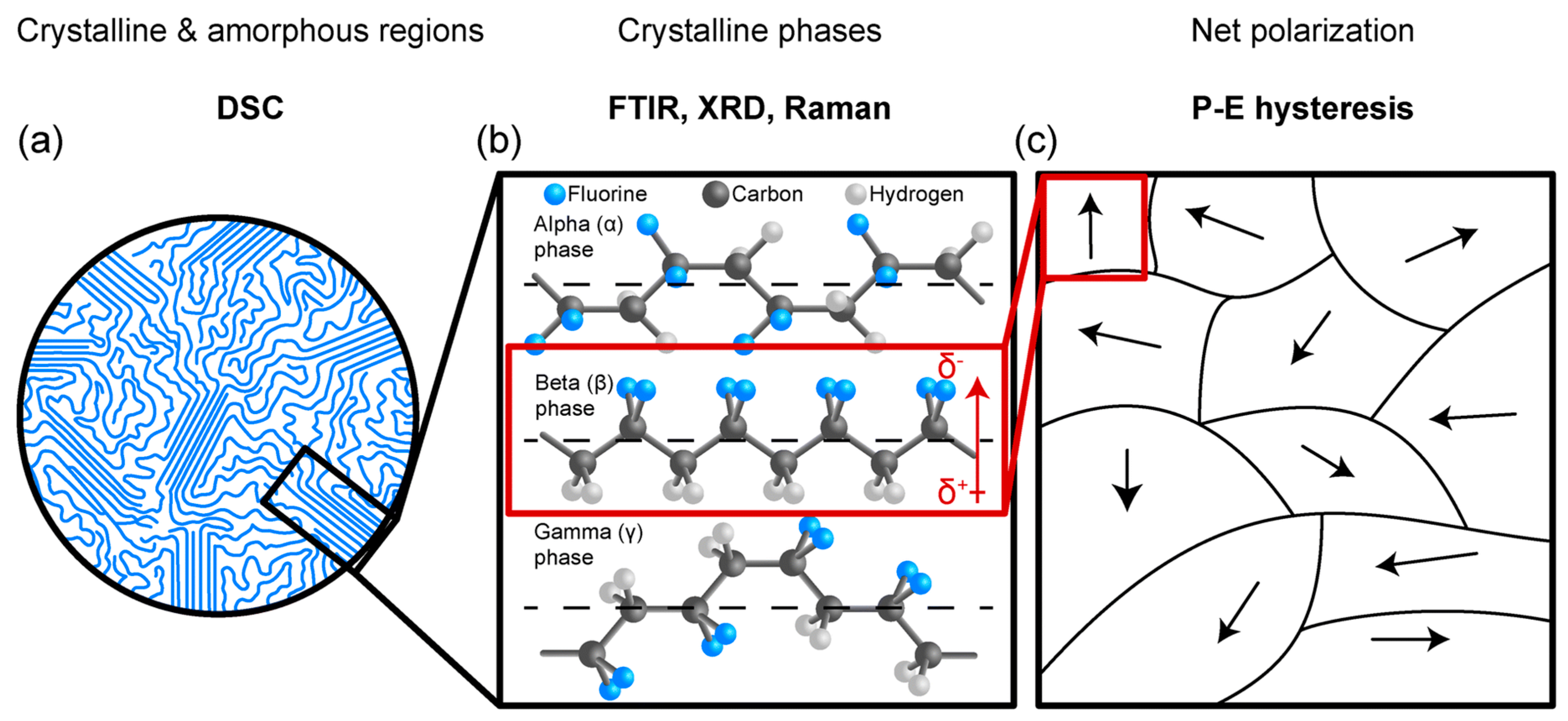 Preprints 144863 g029