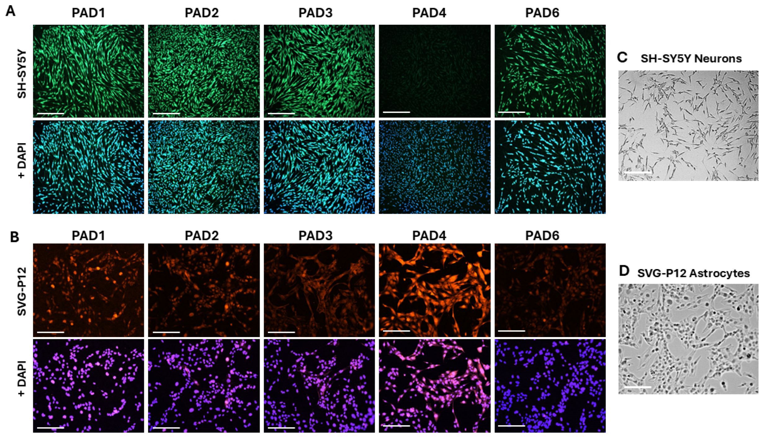 Preprints 210221 g001