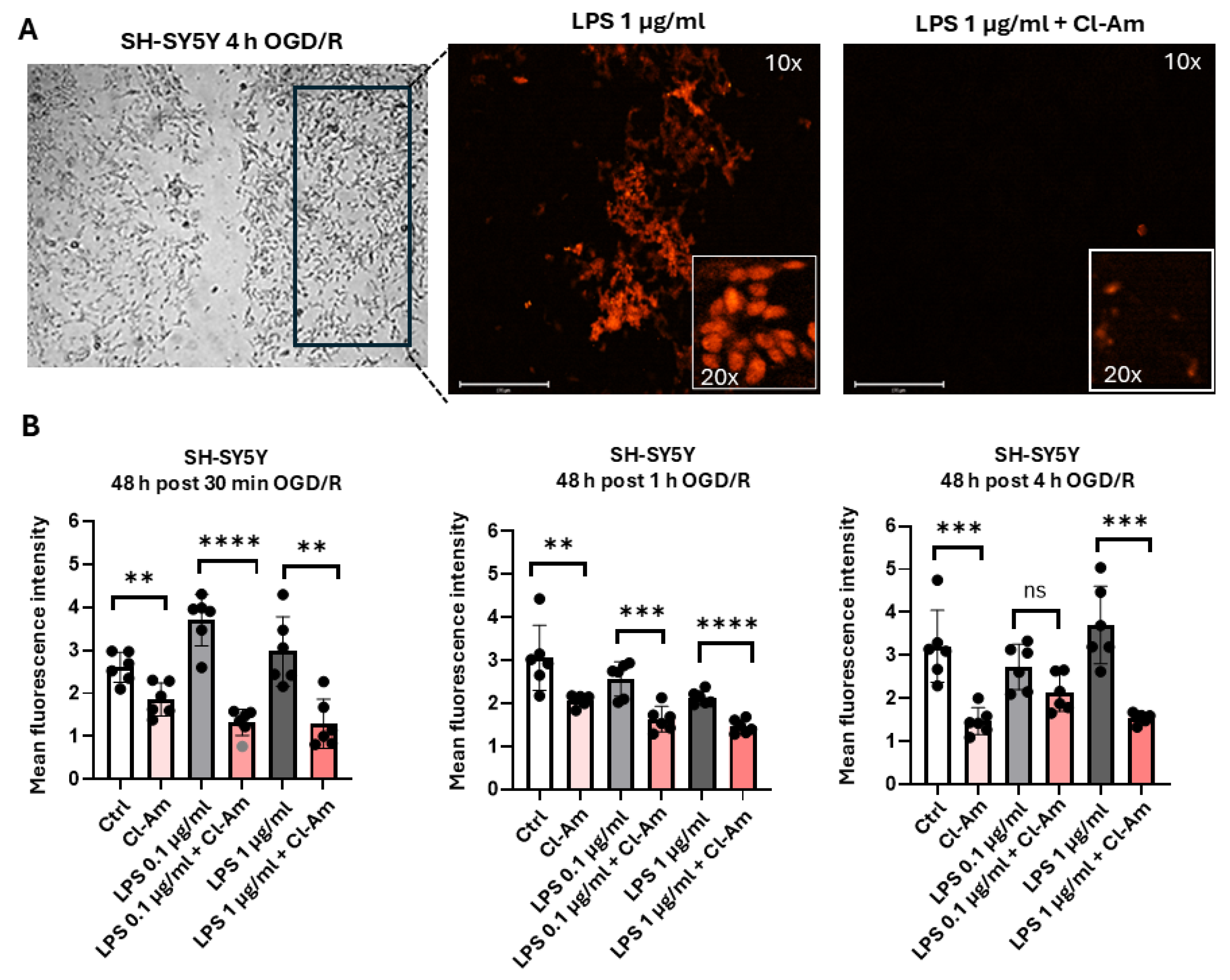 Preprints 210221 g004a