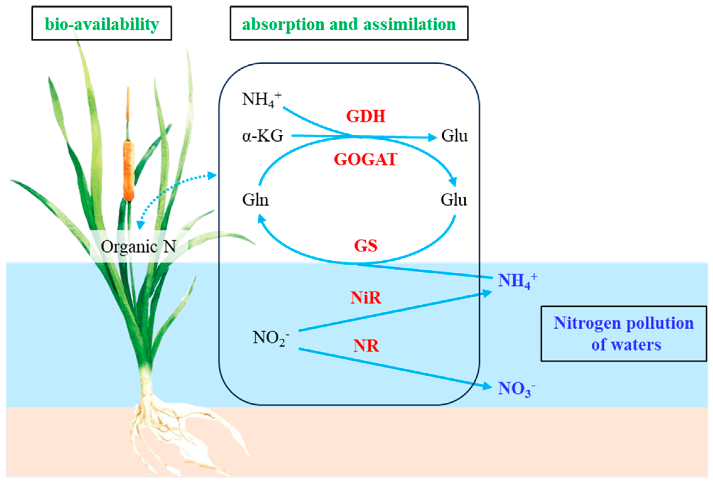 Preprints 156668 g001