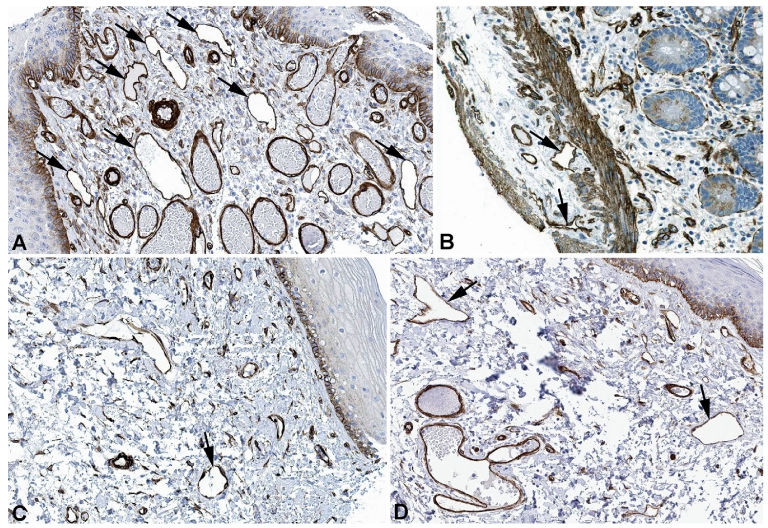 Preprints 119200 g002