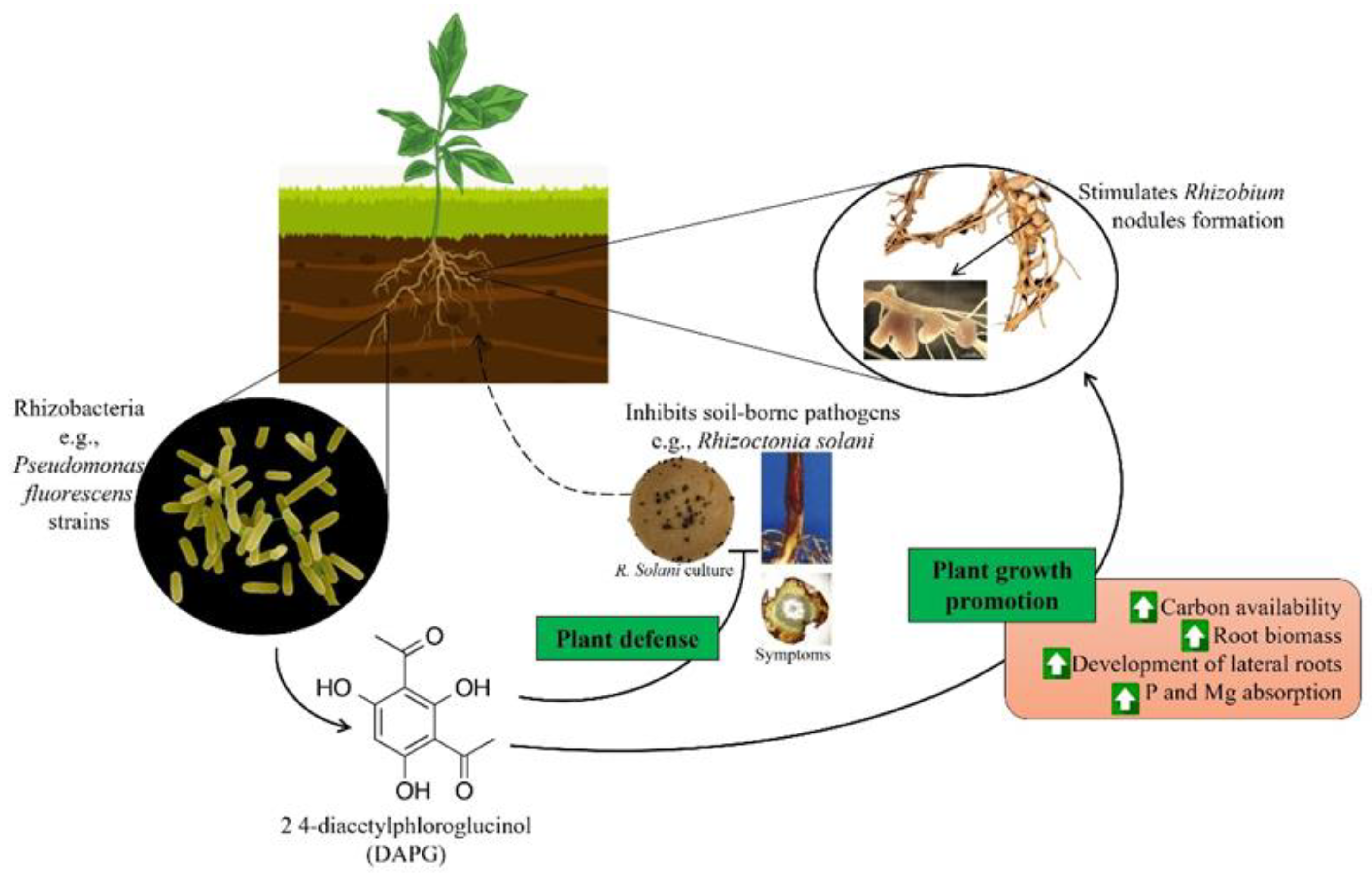 Preprints 98819 g001