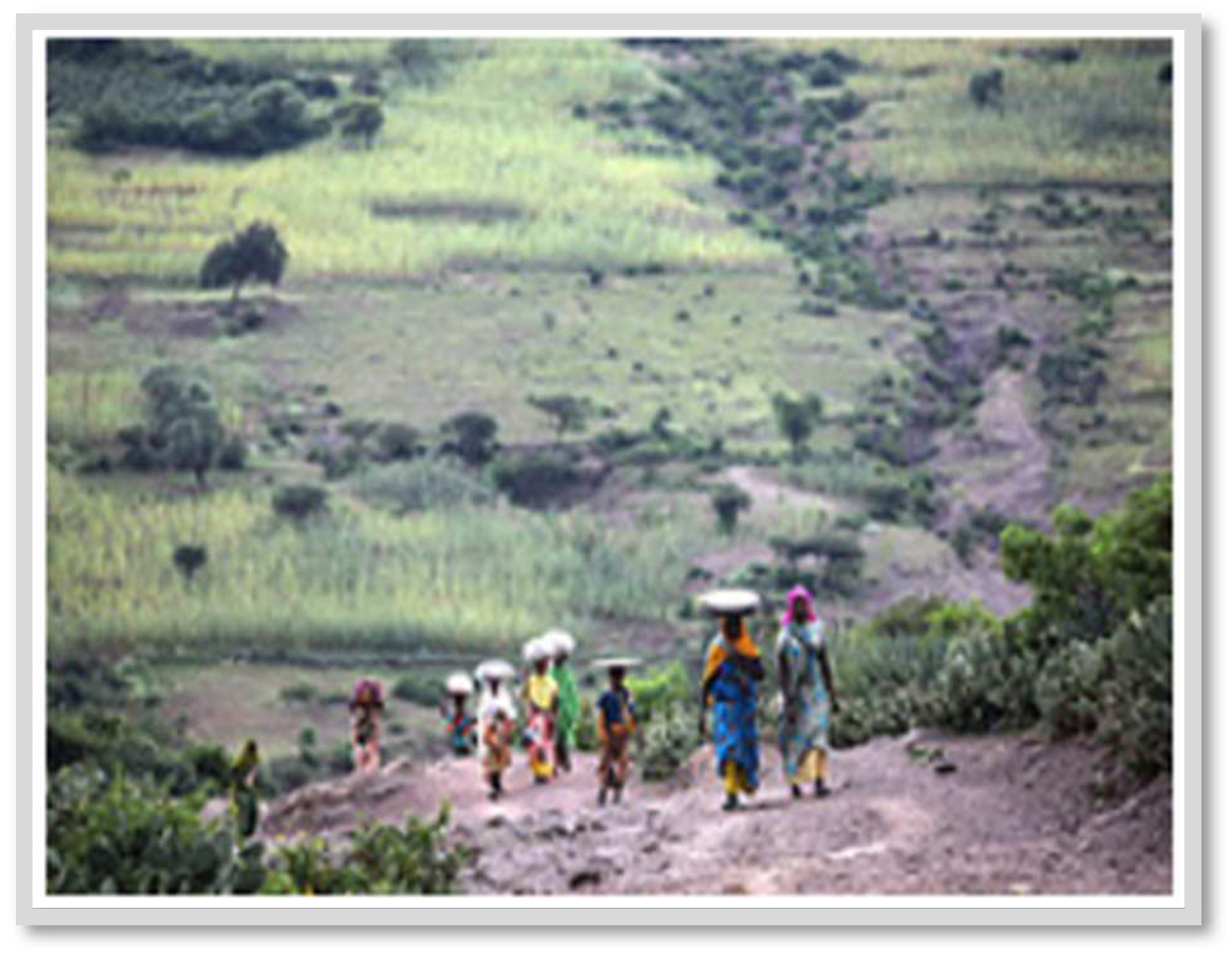 Preprints 153516 i002