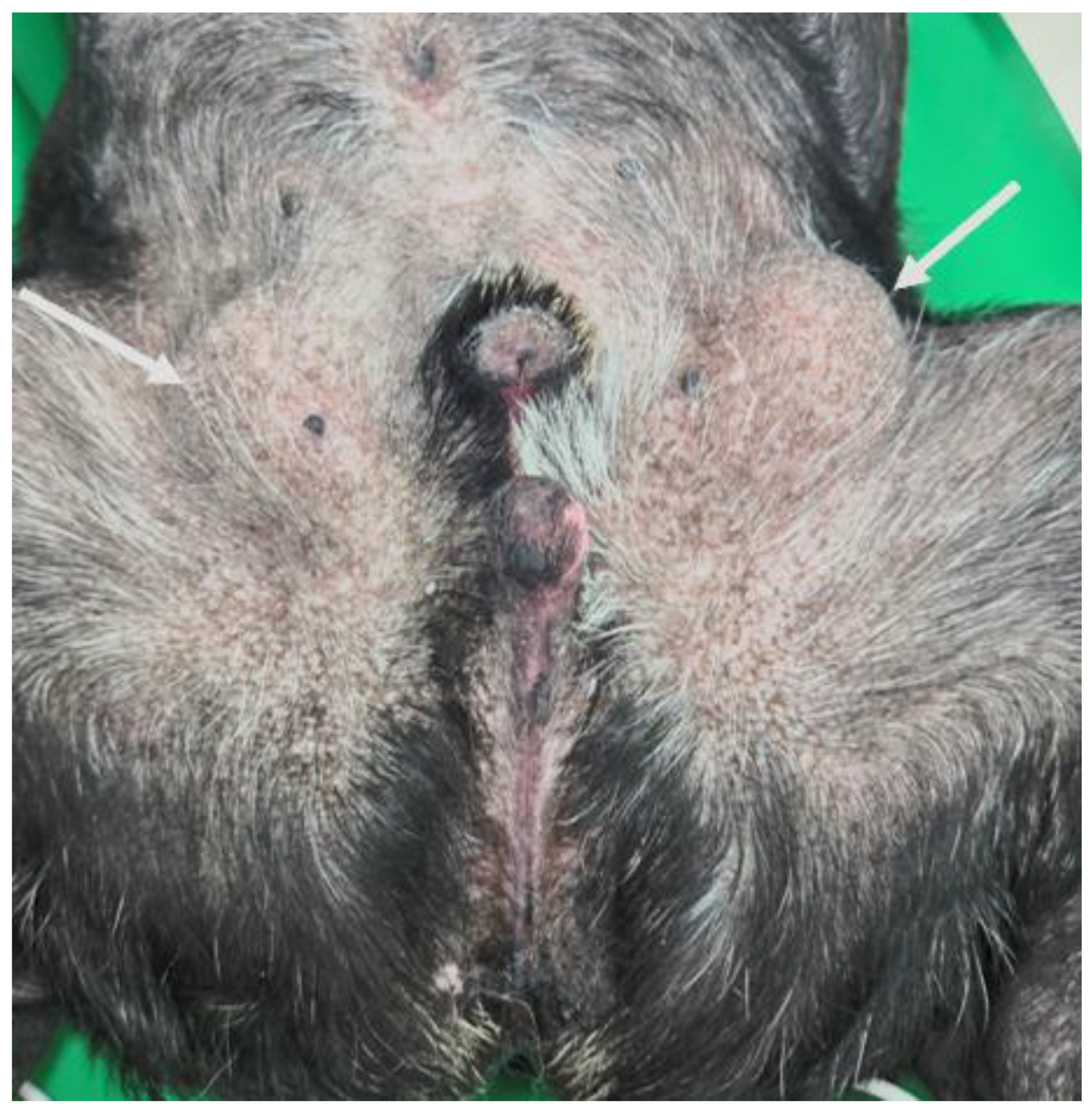 Preprints 207838 g002