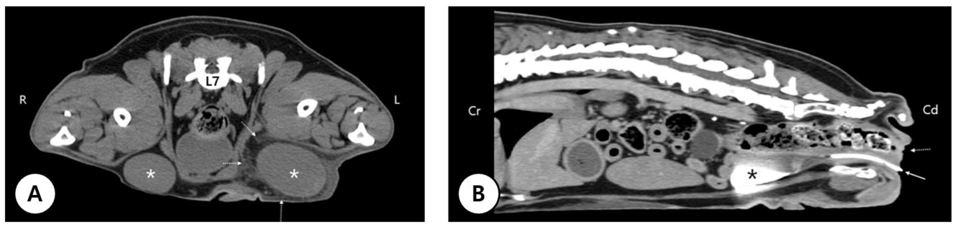 Preprints 207838 g003