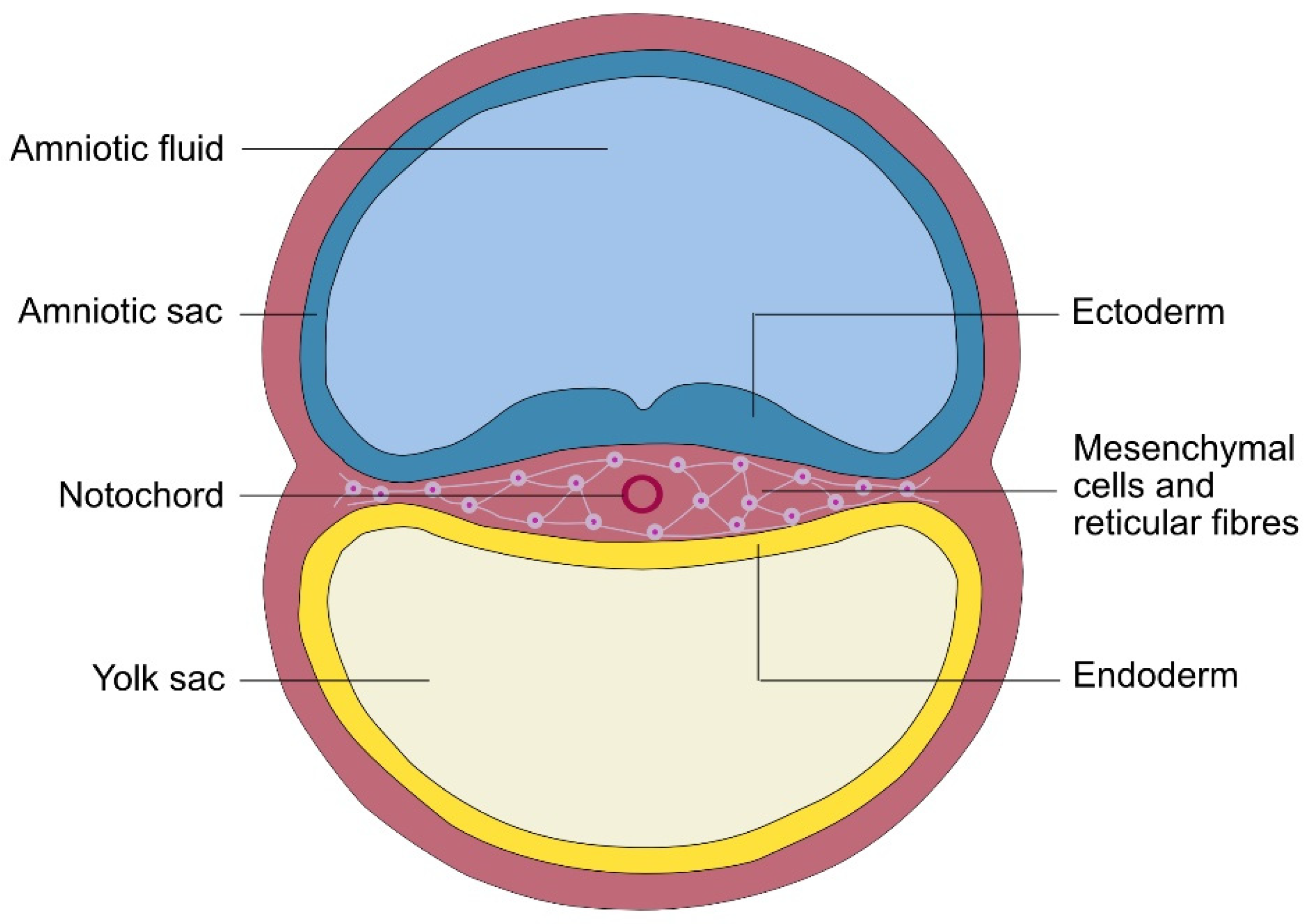 Preprints 192375 g001