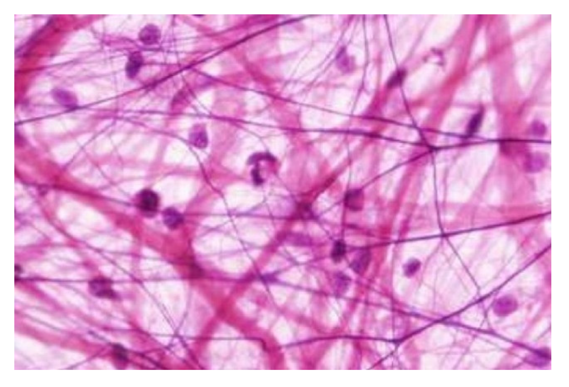 Preprints 192375 g002