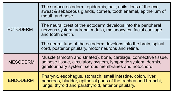 Preprints 192375 i001