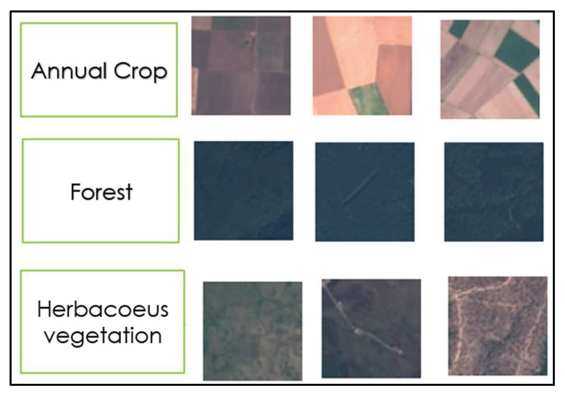 Preprints 162333 g002