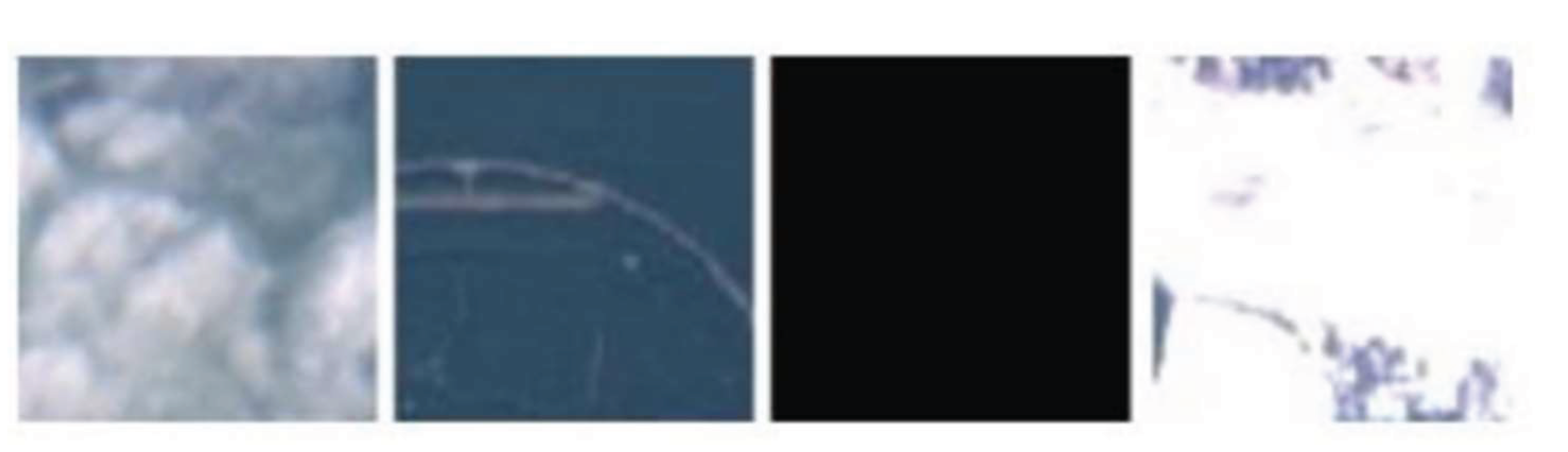 Preprints 162333 g003