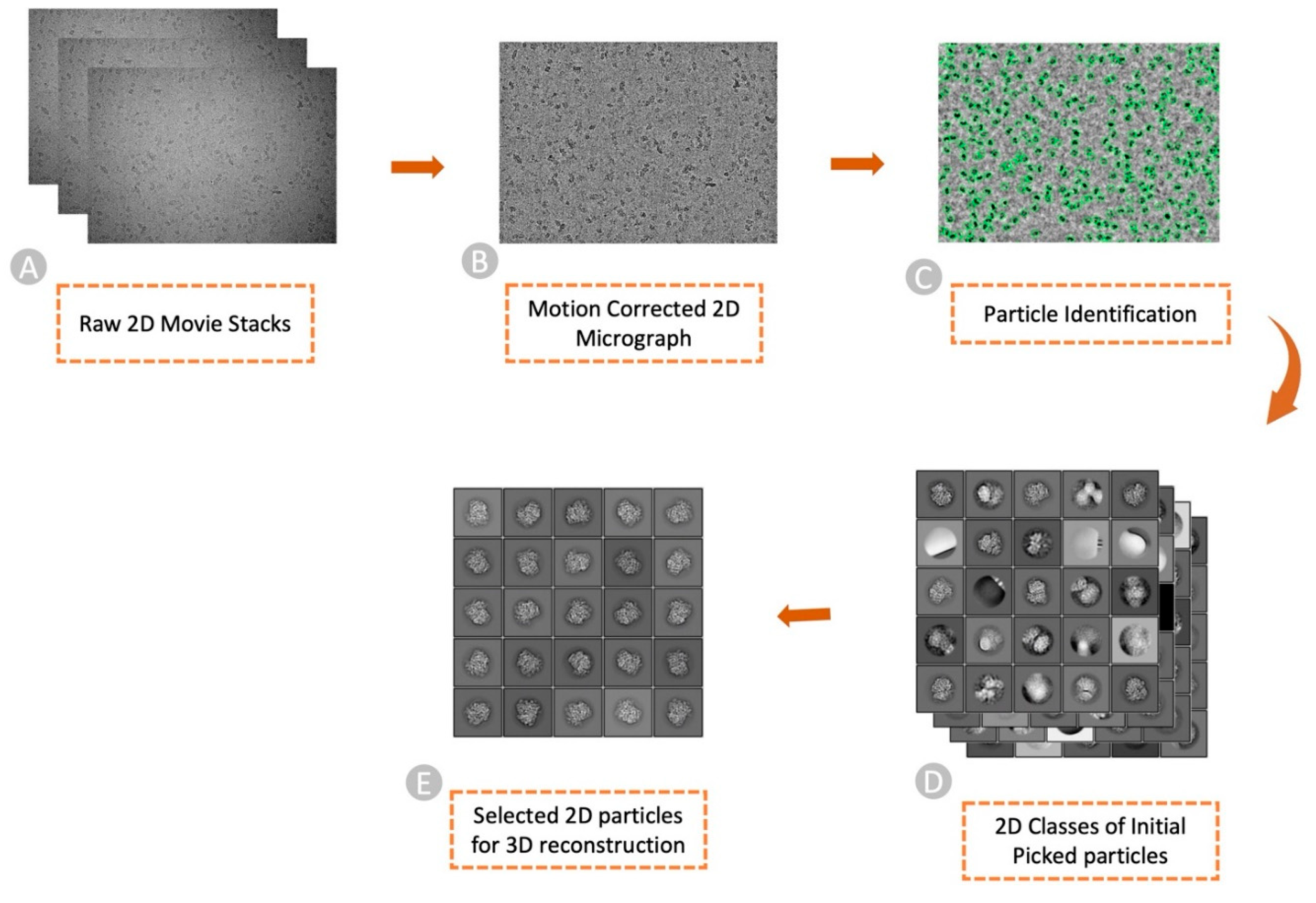 Preprints 116237 g001