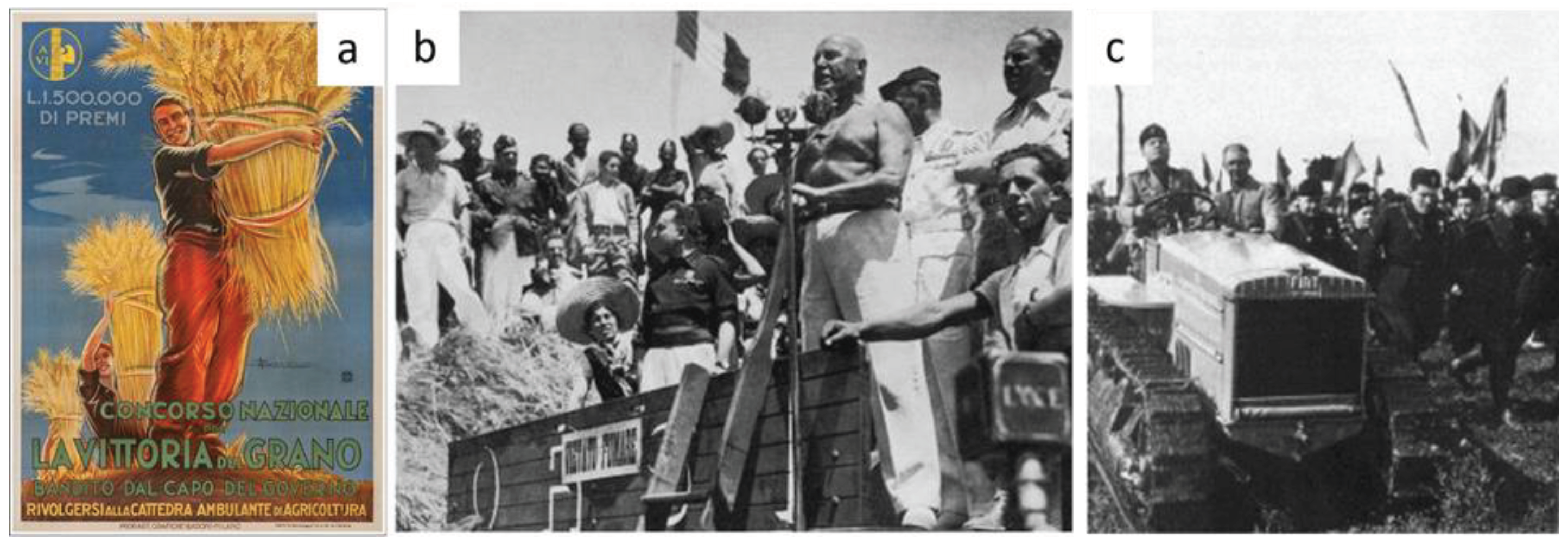 Preprints 100046 g001