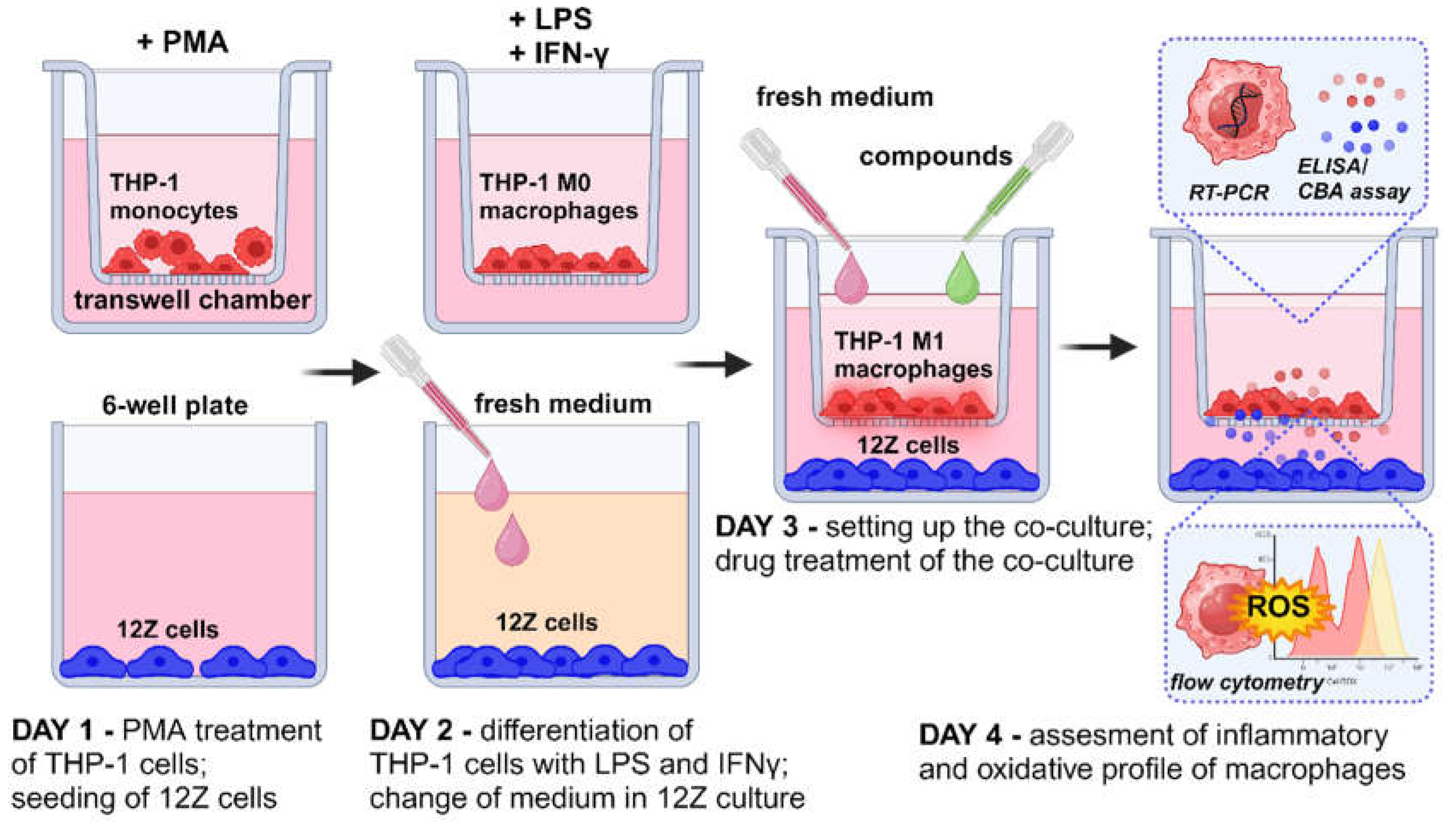 Preprints 116090 g001