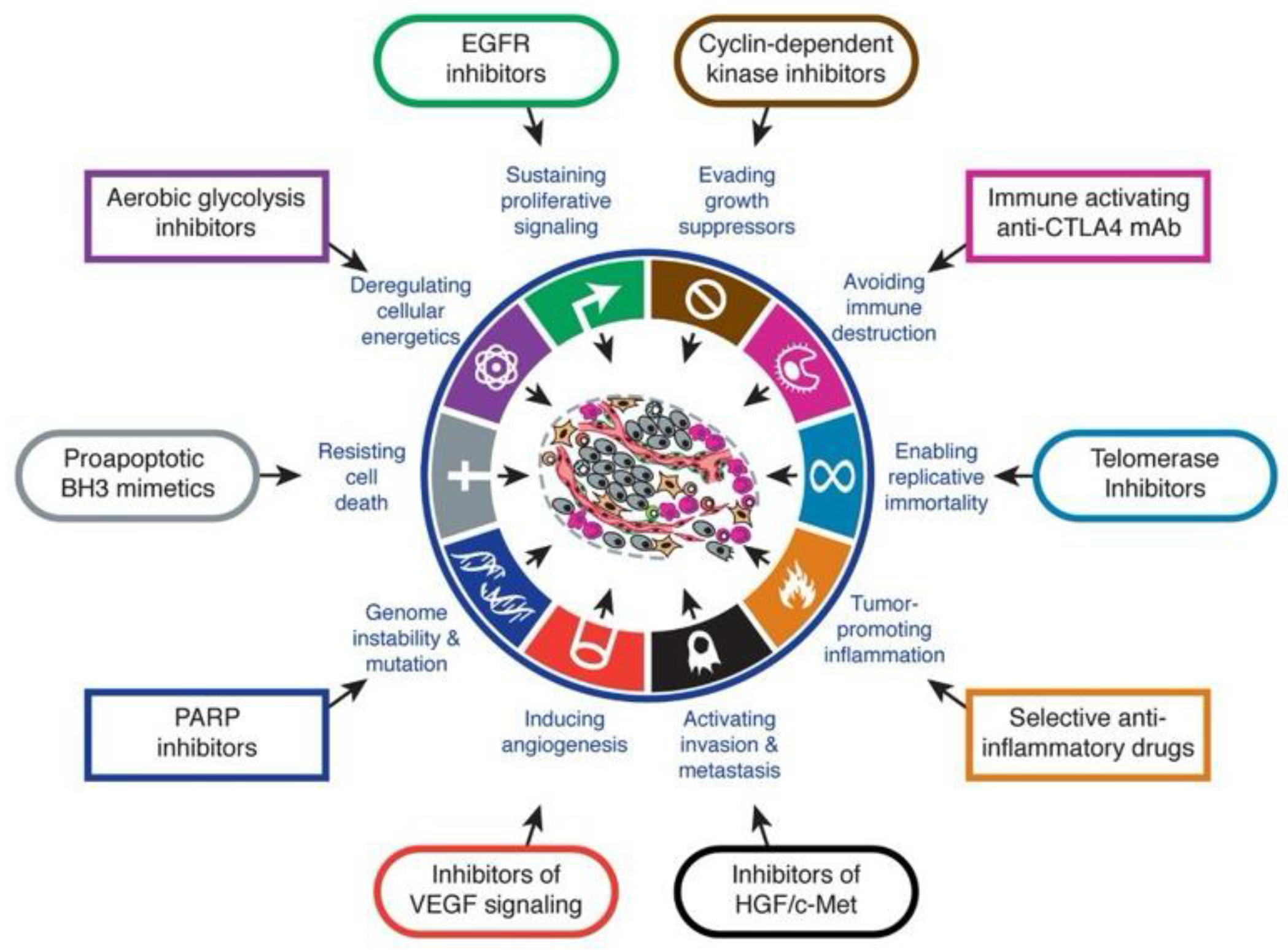 Preprints 177975 g002