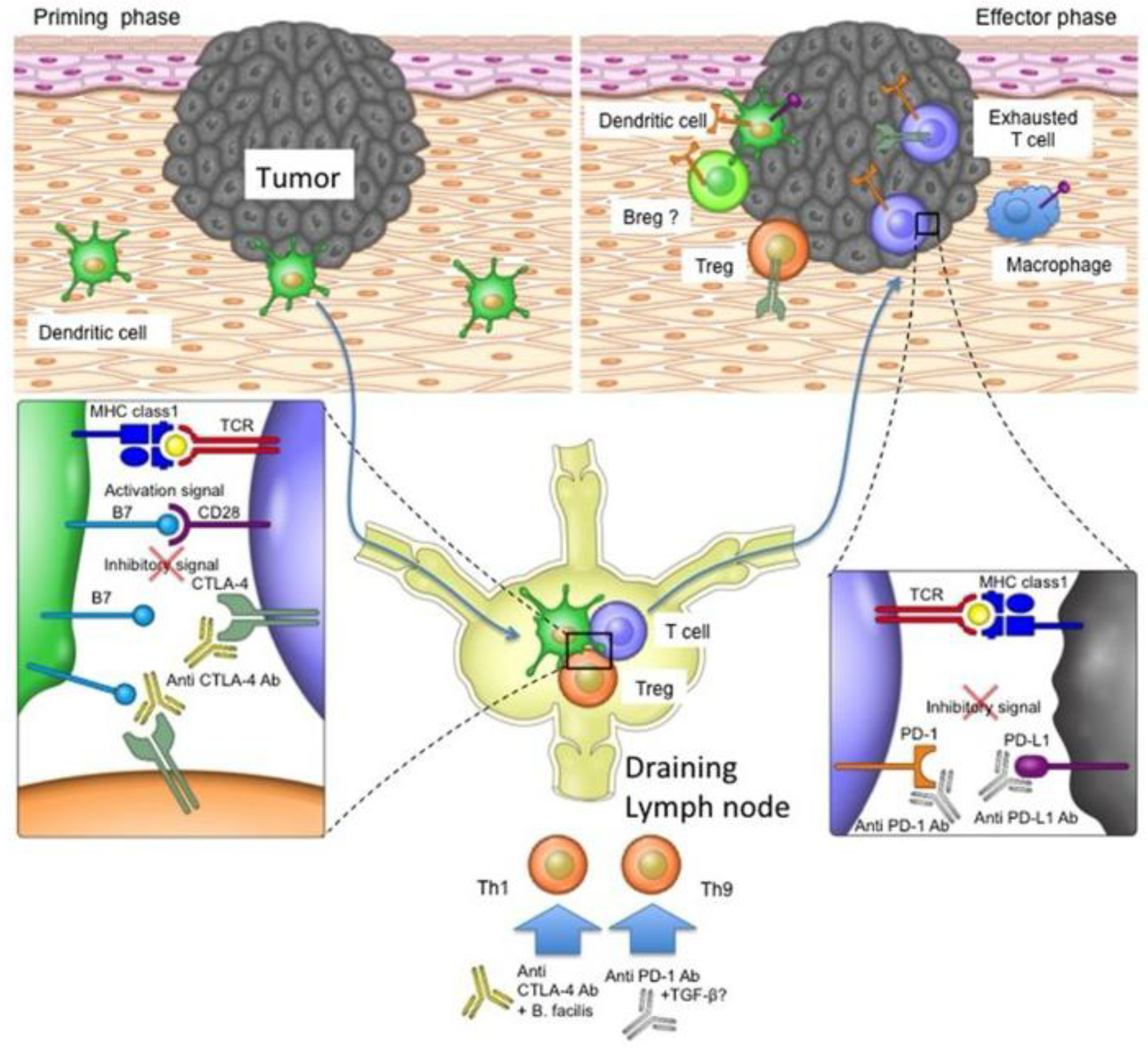 Preprints 177975 g003