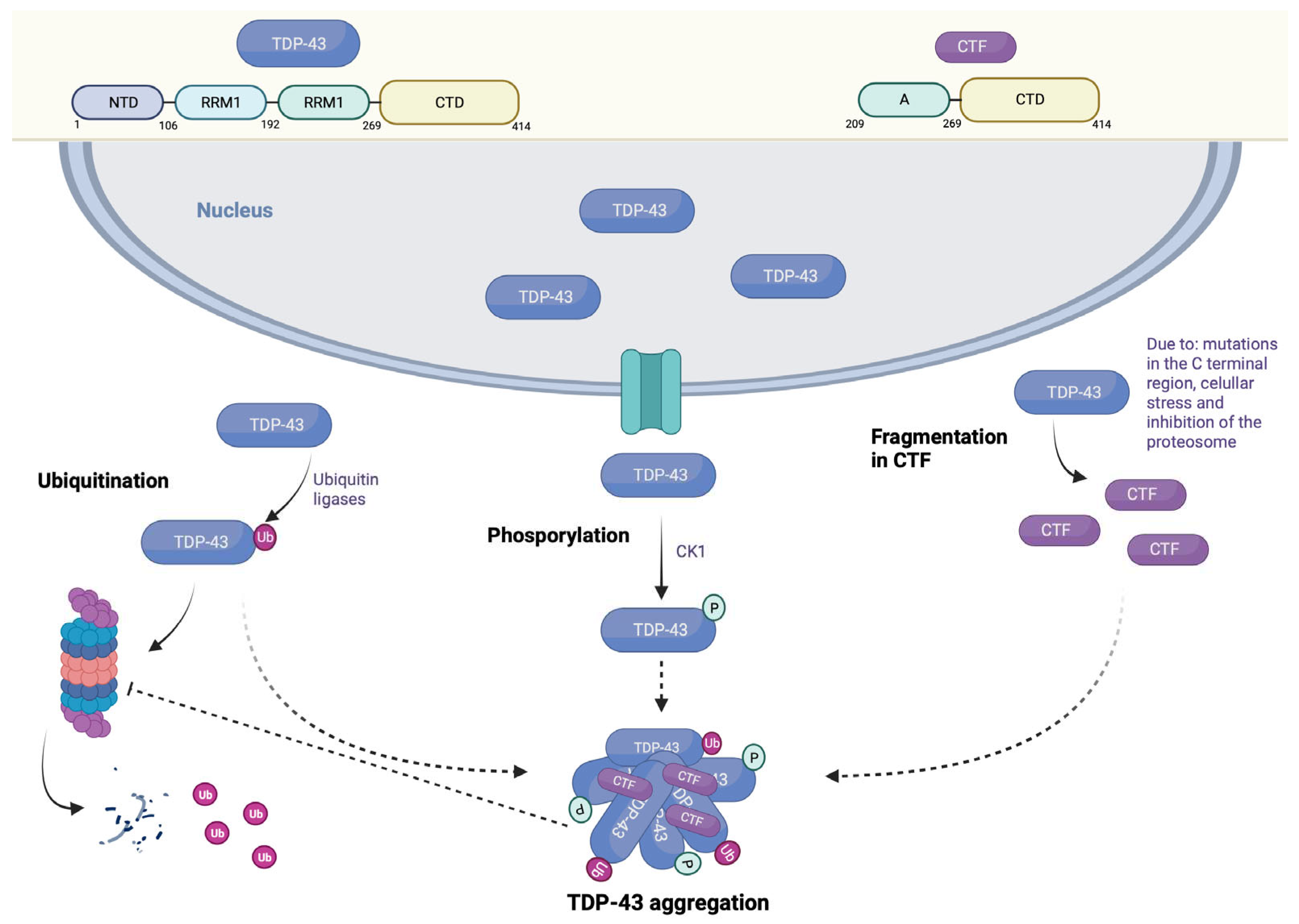 Preprints 85287 g003