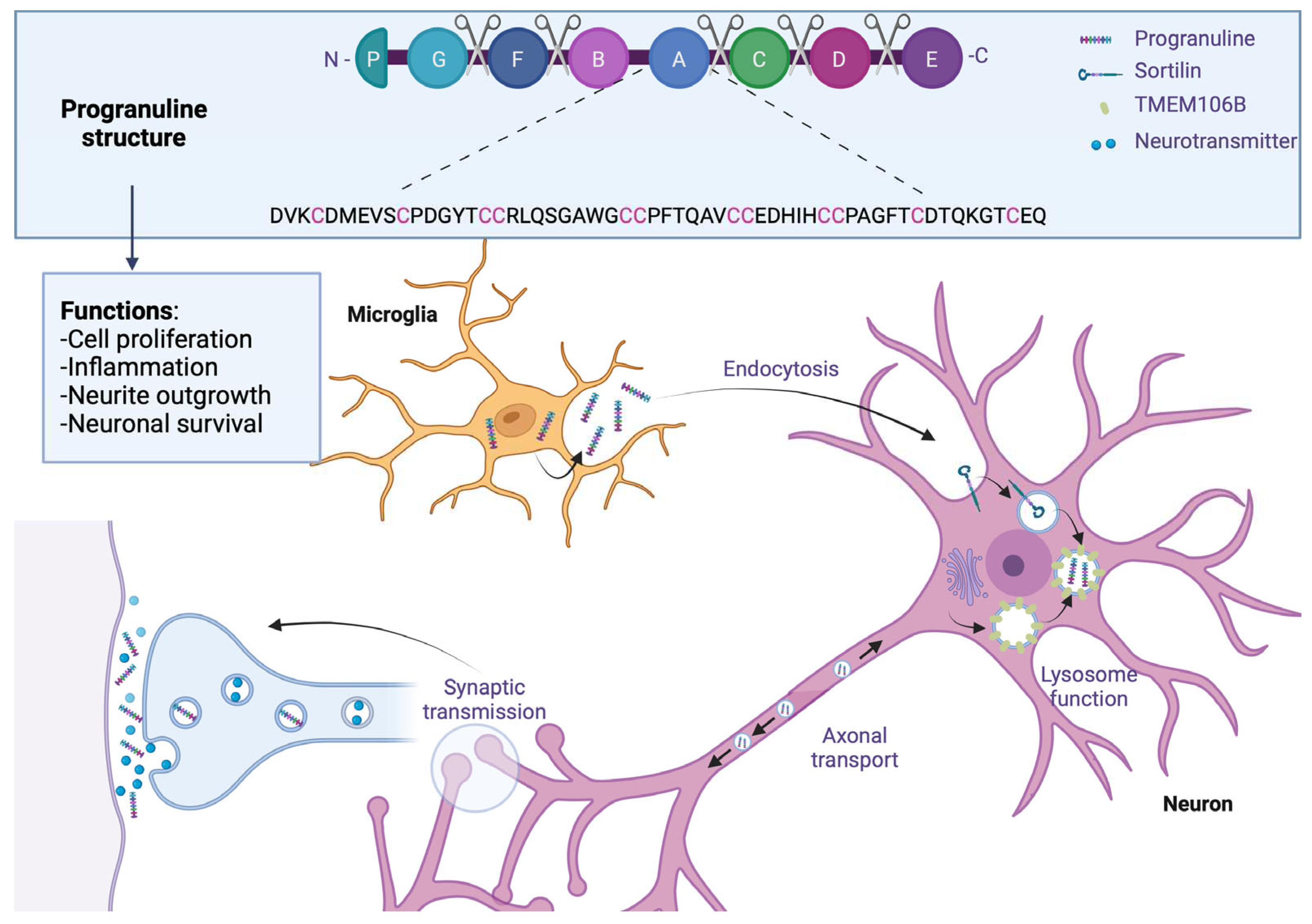 Preprints 85287 g005