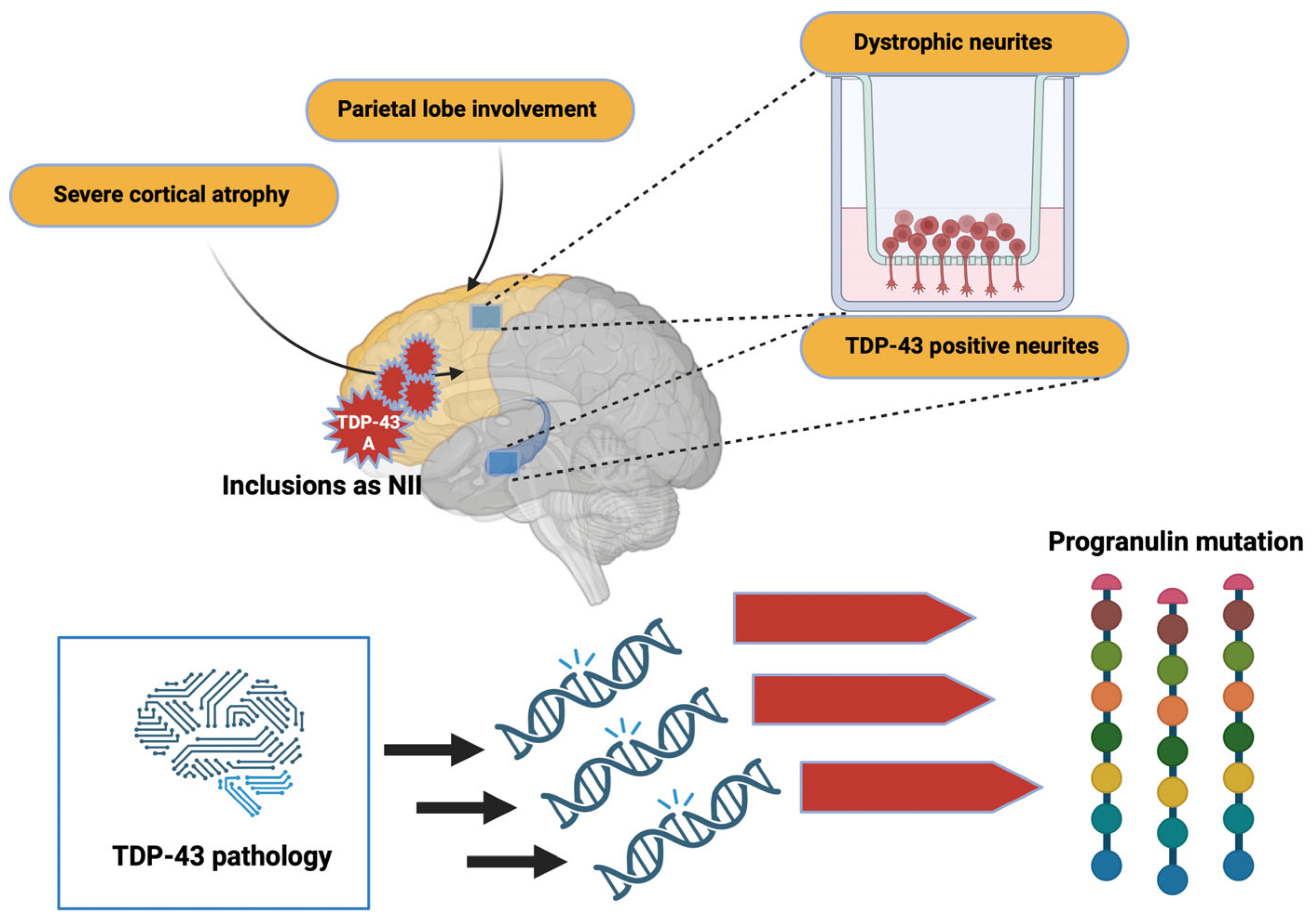 Preprints 85287 g006