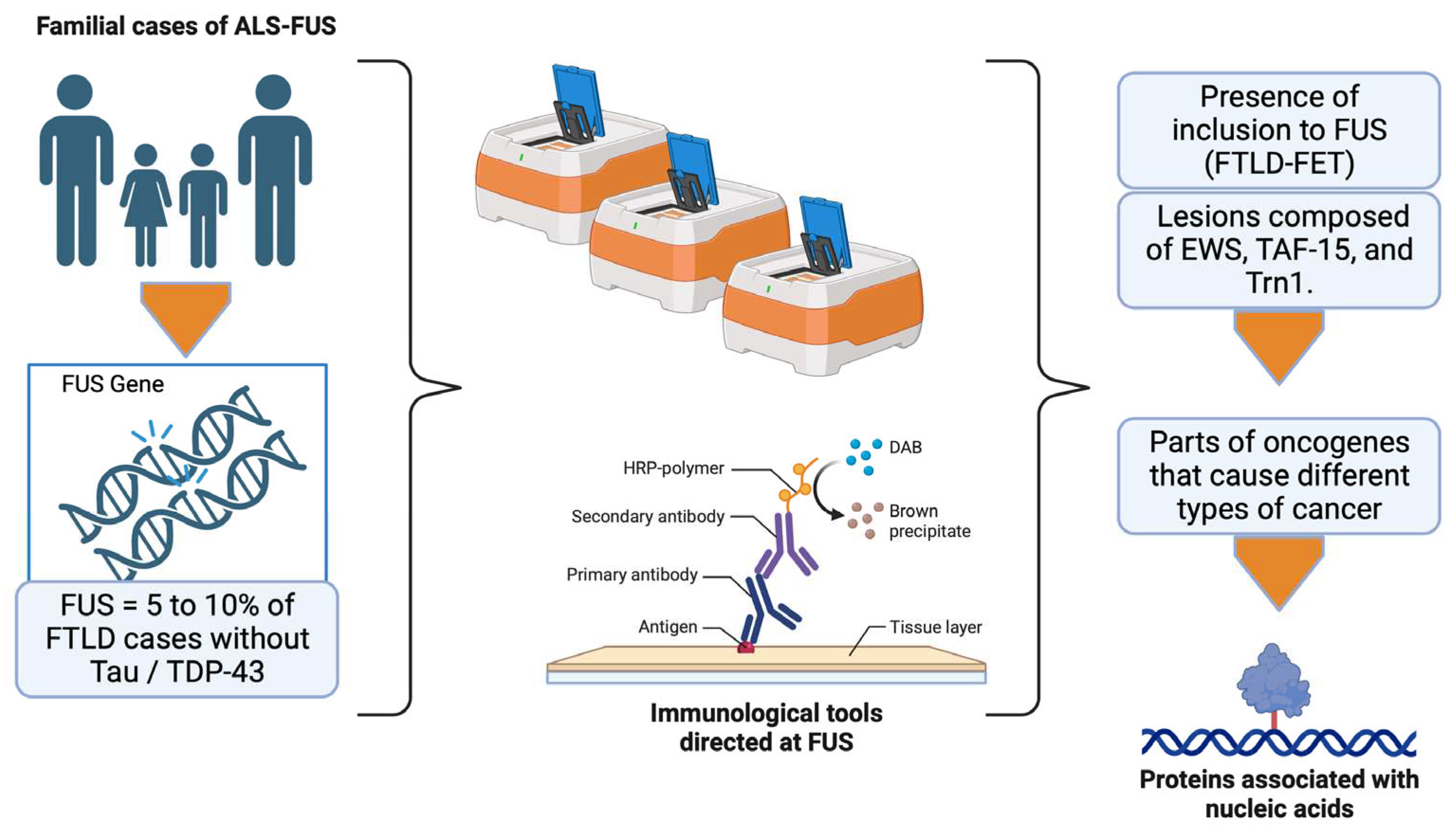 Preprints 85287 g009