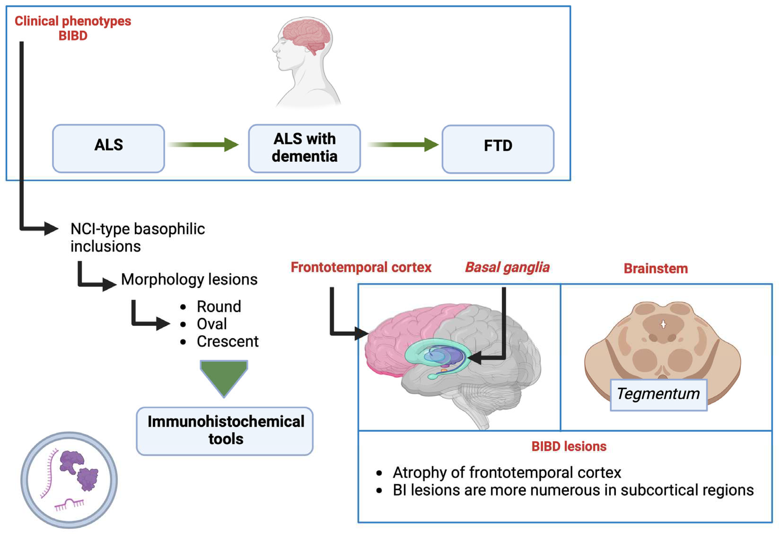 Preprints 85287 g010