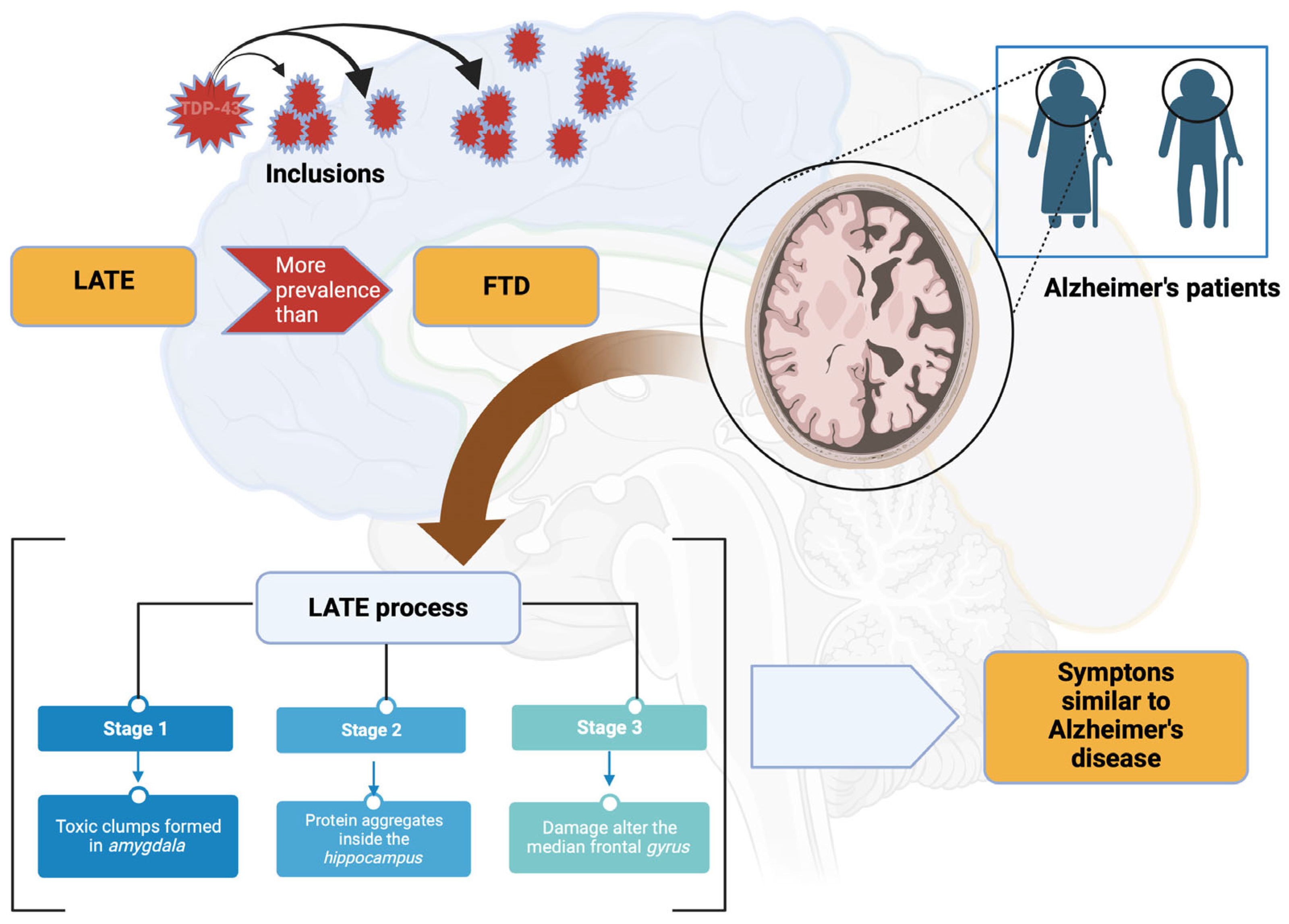 Preprints 85287 g011