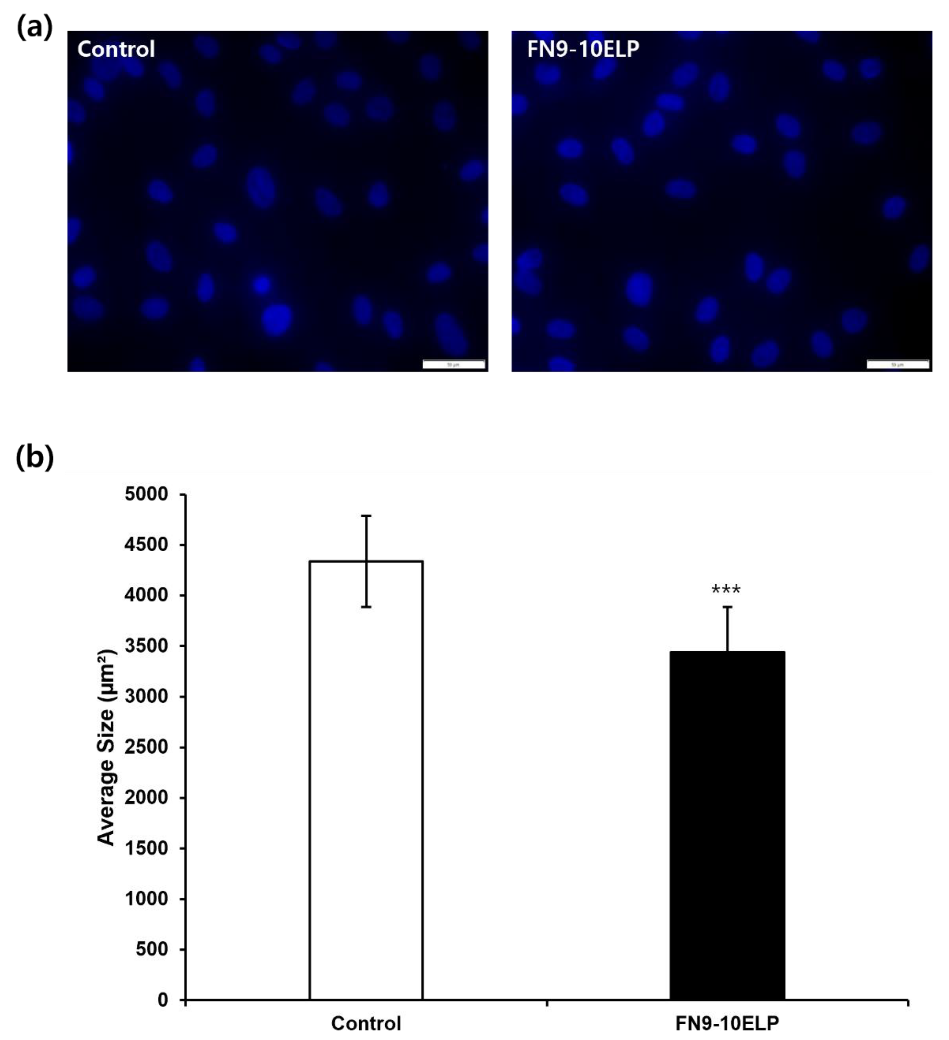 Preprints 170365 g003