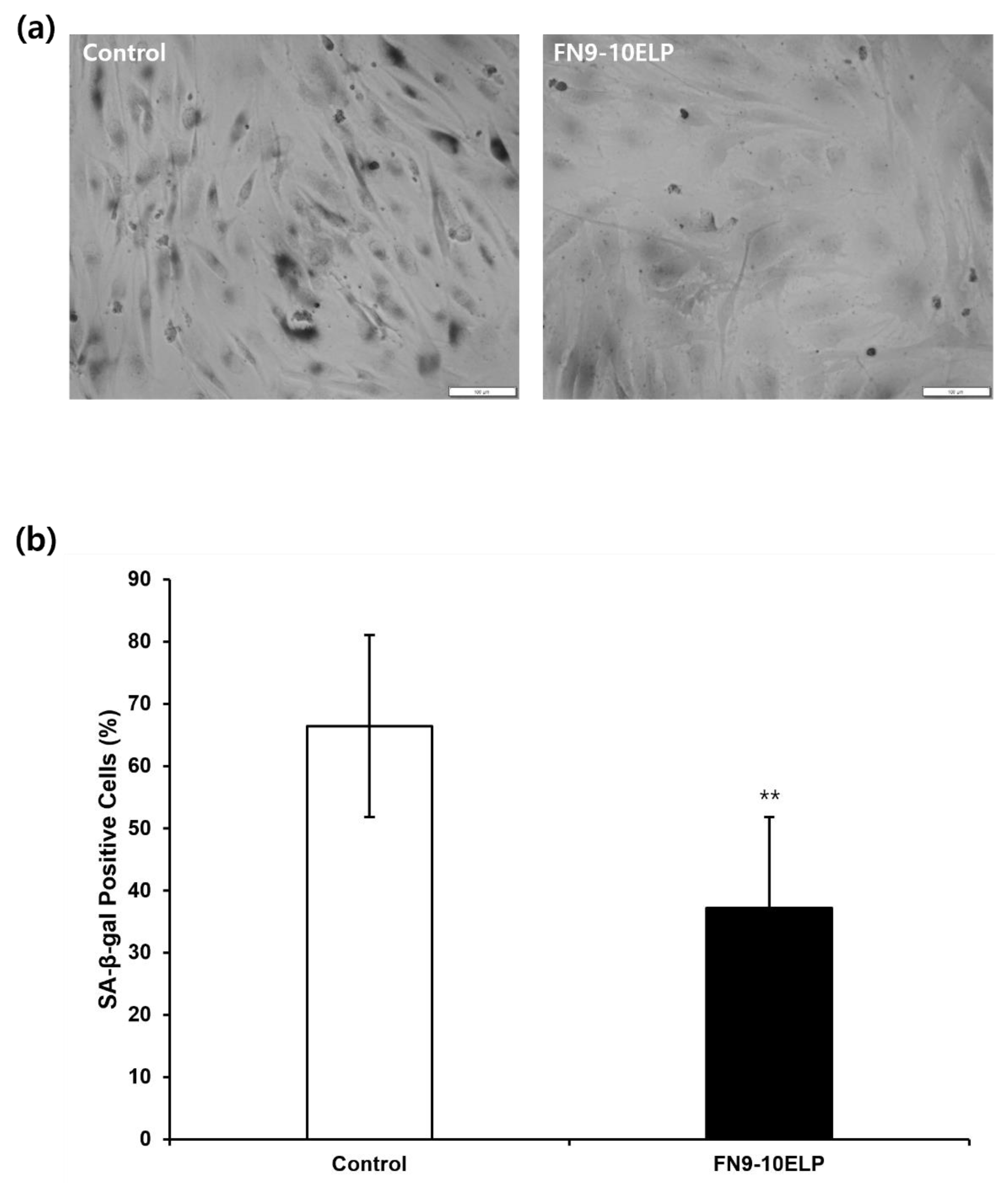 Preprints 170365 g004