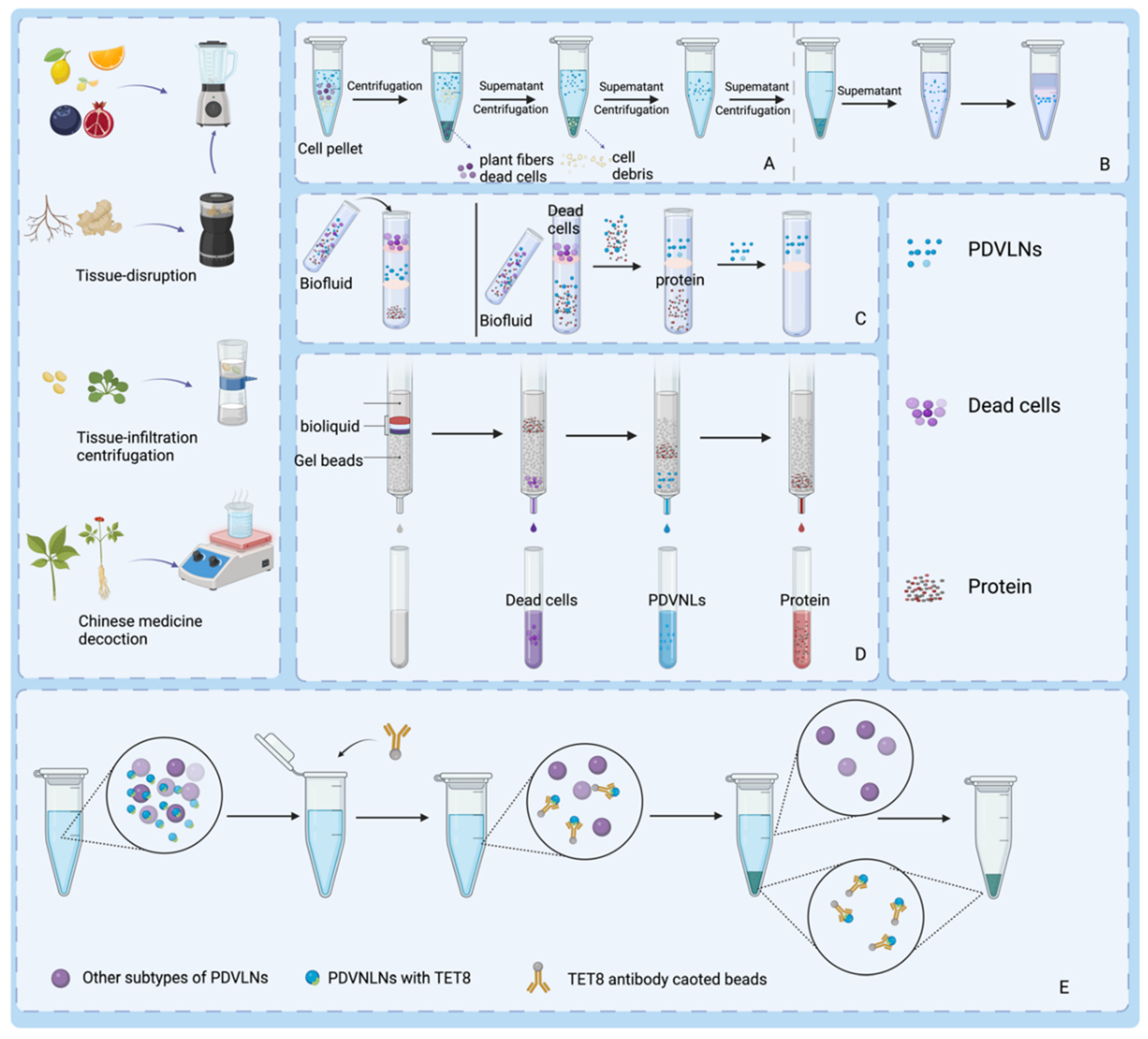 Preprints 163353 g002