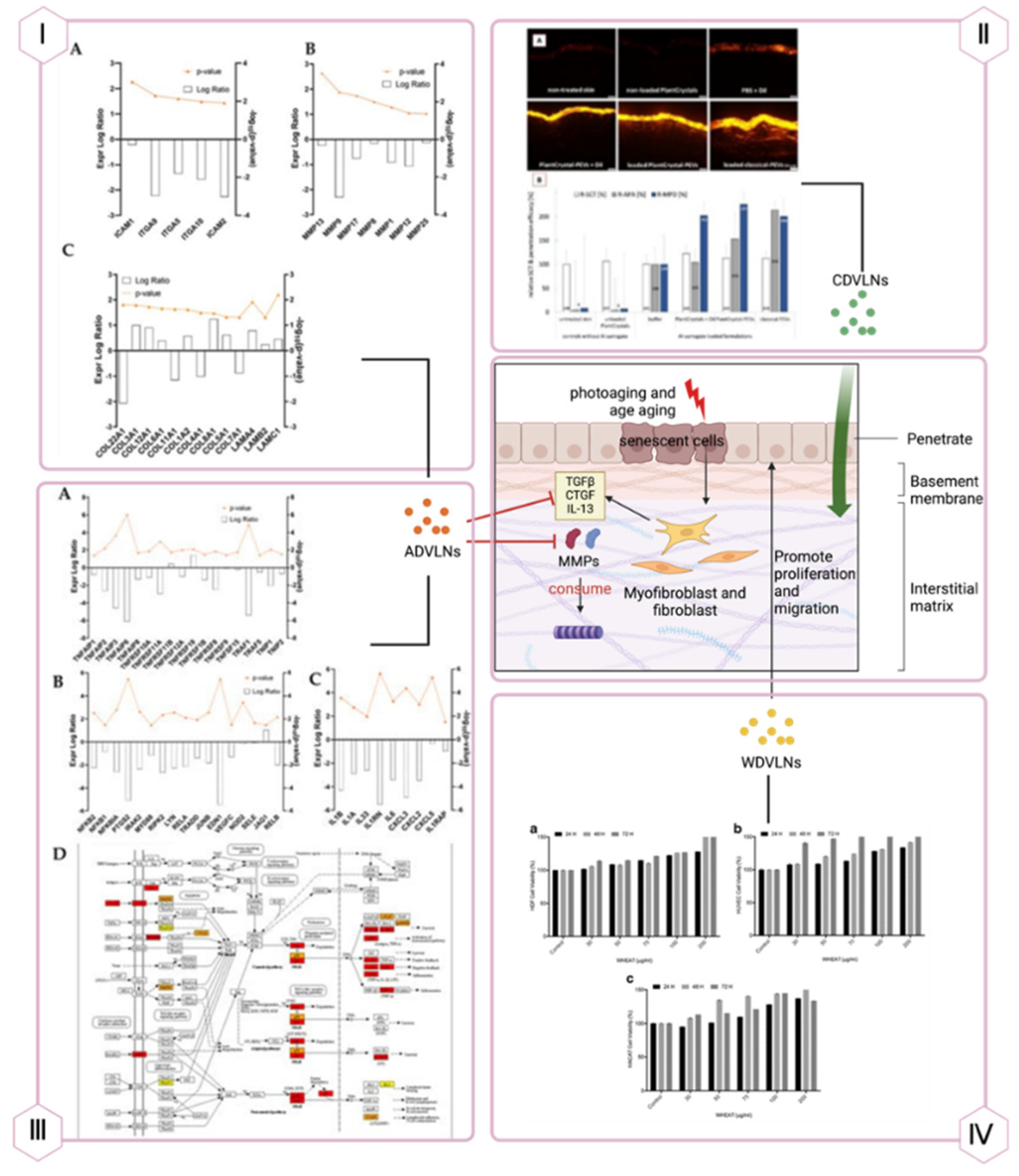 Preprints 163353 g004