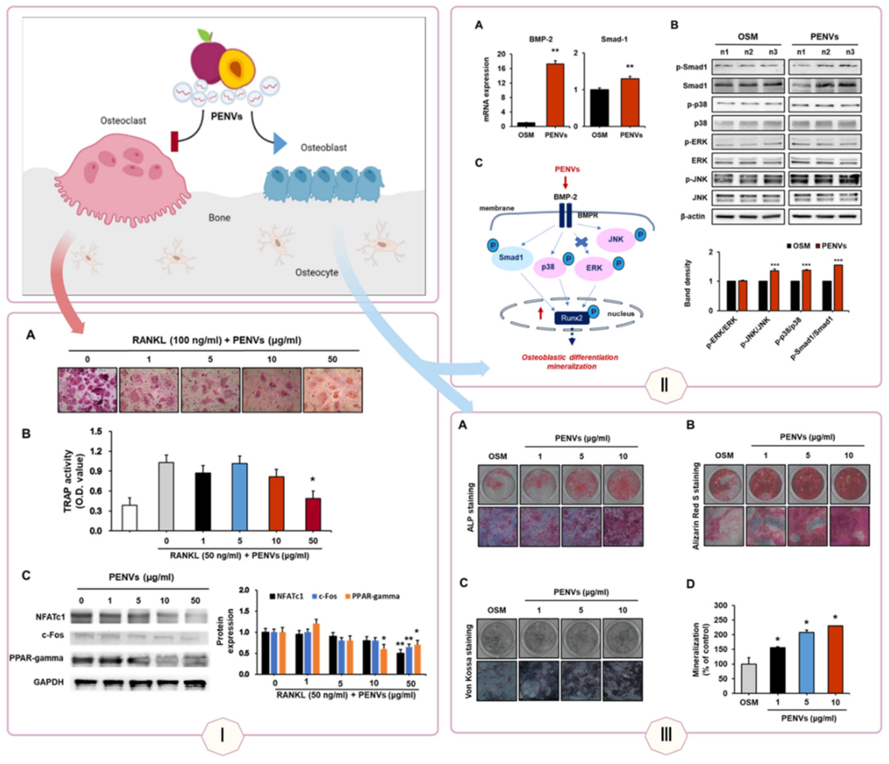 Preprints 163353 g005